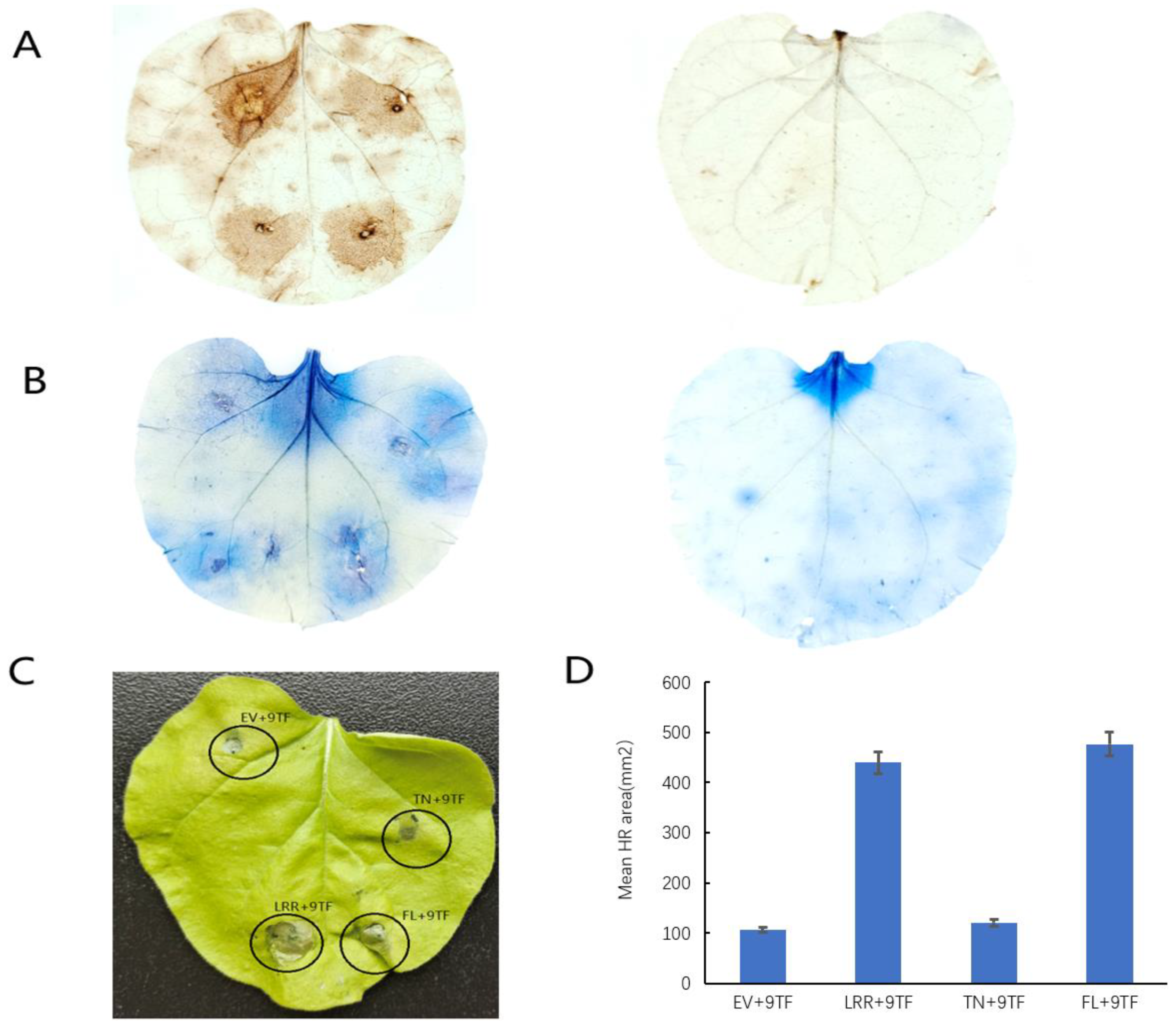 Plants 10 01561 g004