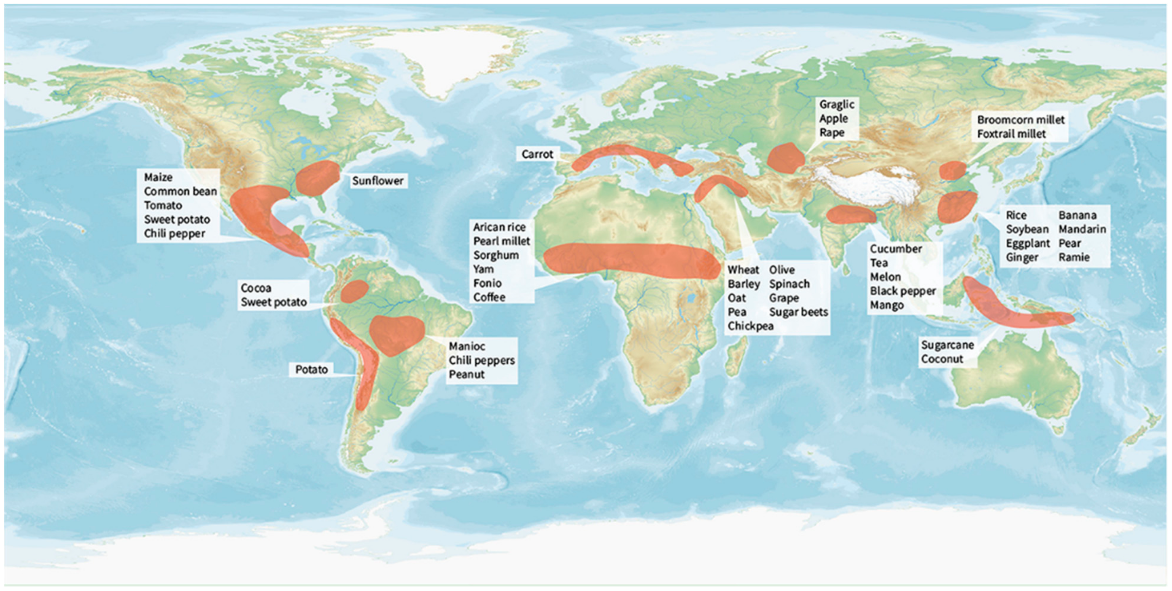 Plants 10 01571 g001 Plants 10 01571 g001