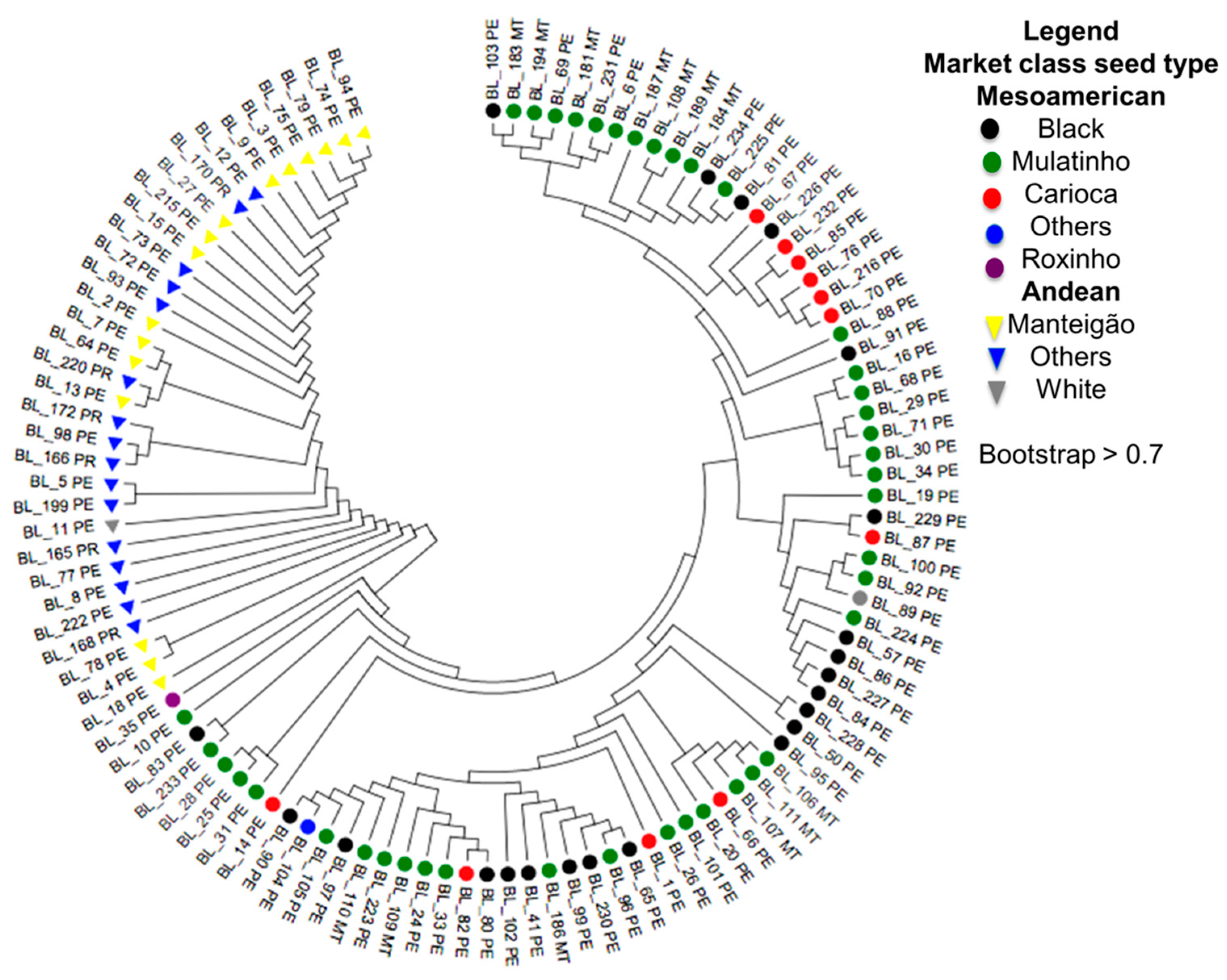 Plants 10 01572 g003