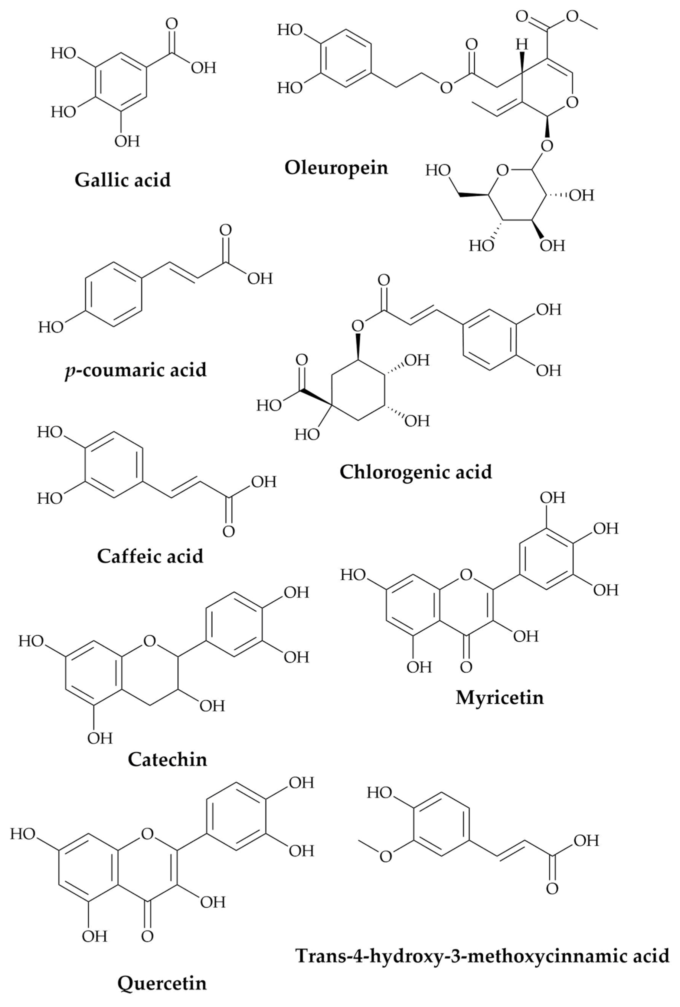Plants 10 01573 g001