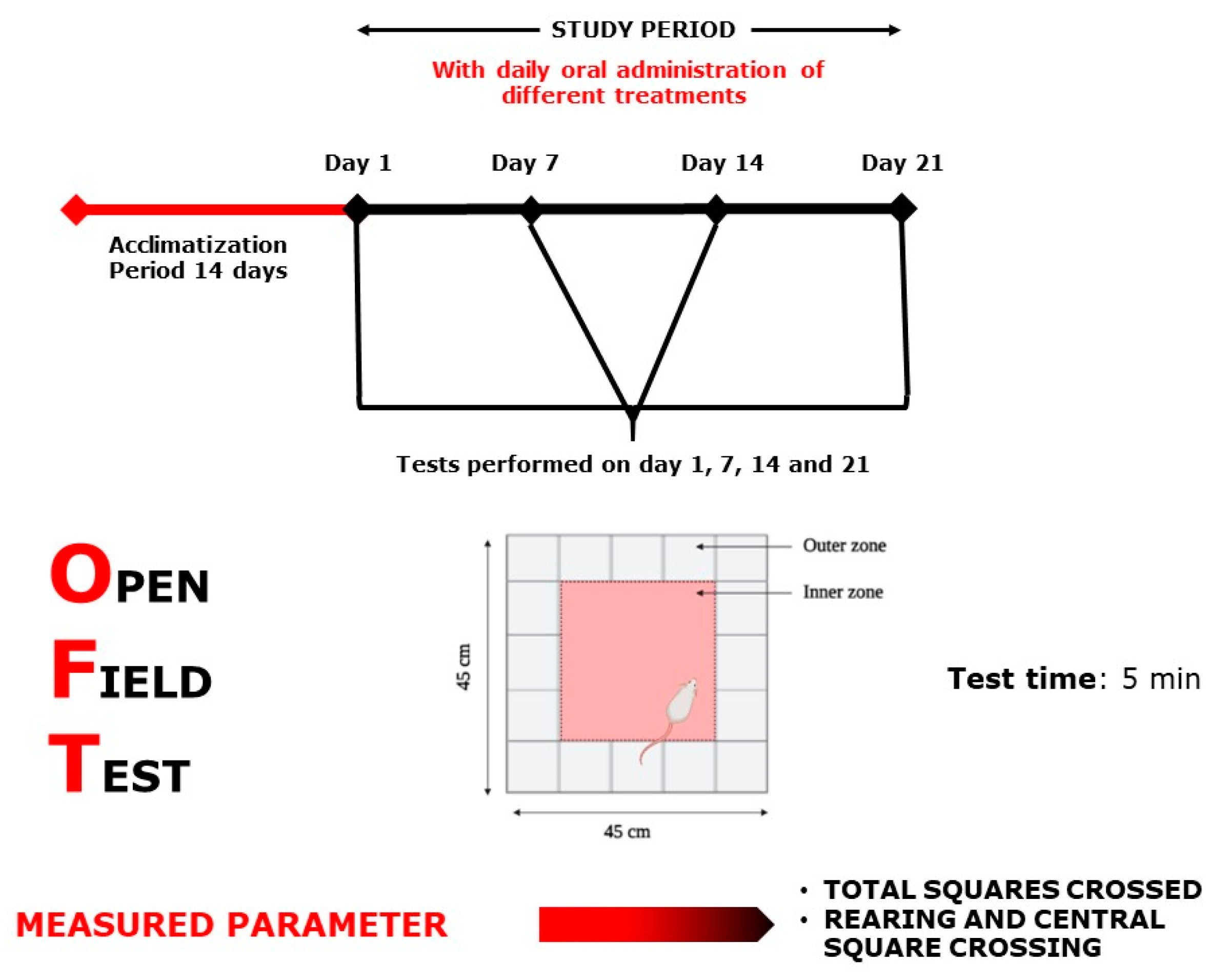 Plants 10 01573 g011