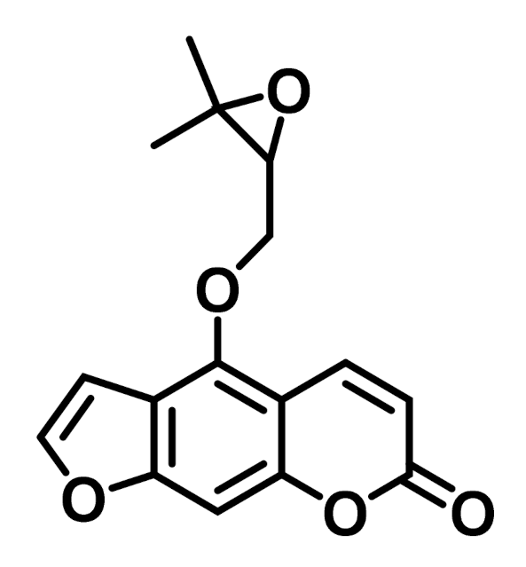 Plants 10 01577 g001