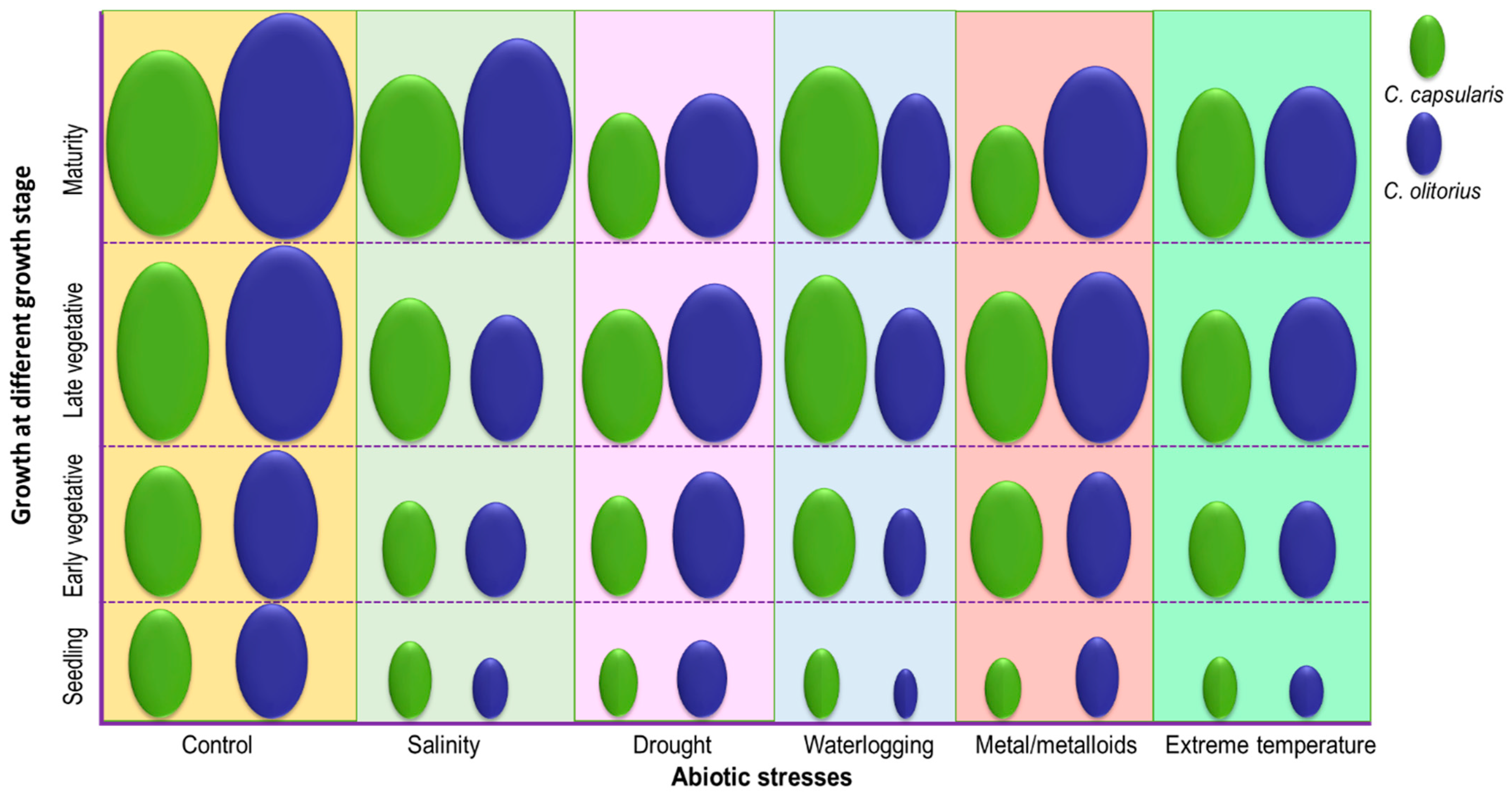 Plants 10 01595 g003