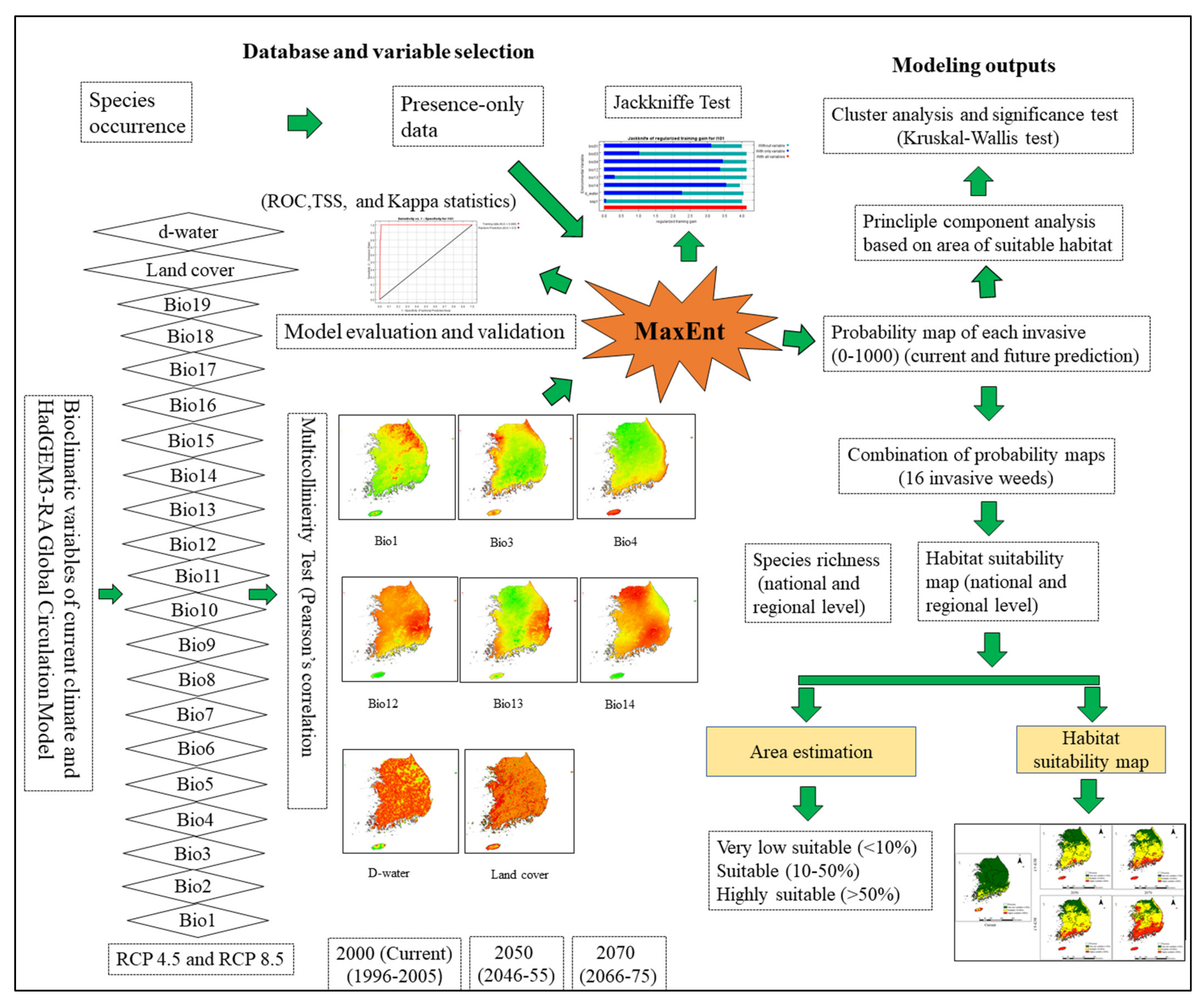 Plants 10 01604 g007
