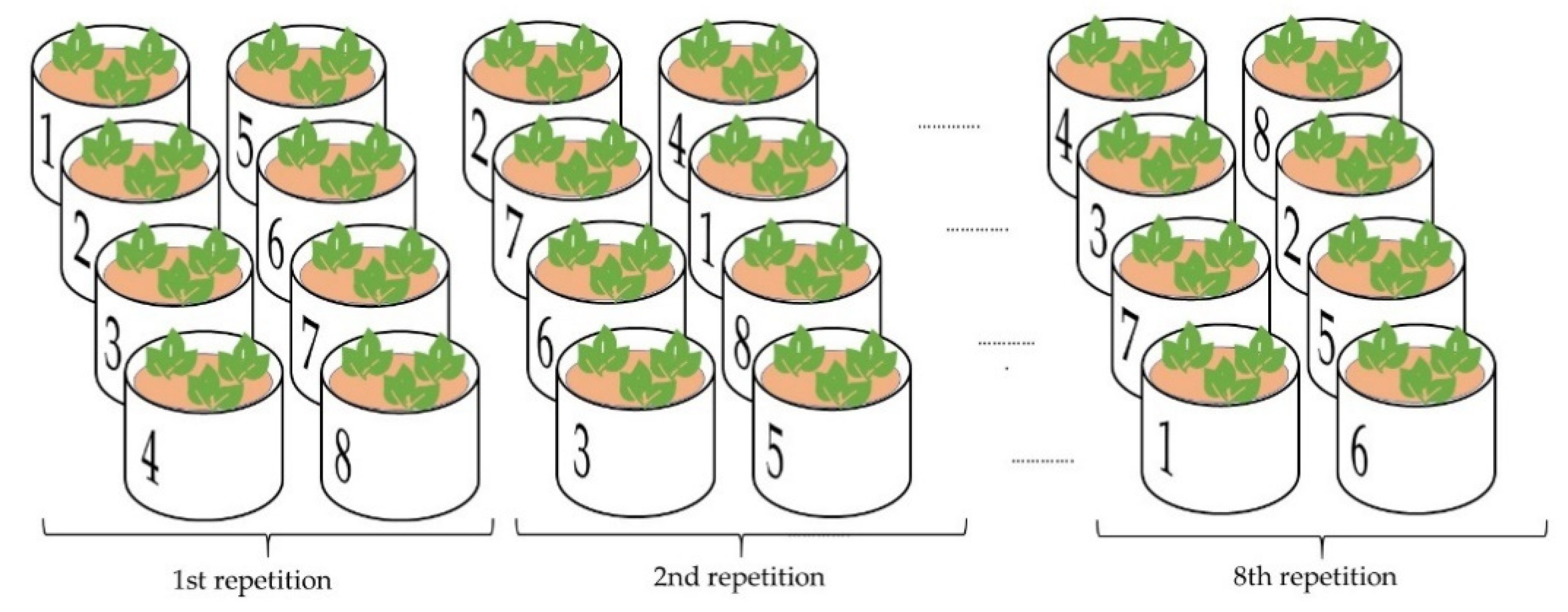 Plants 10 01605 g007