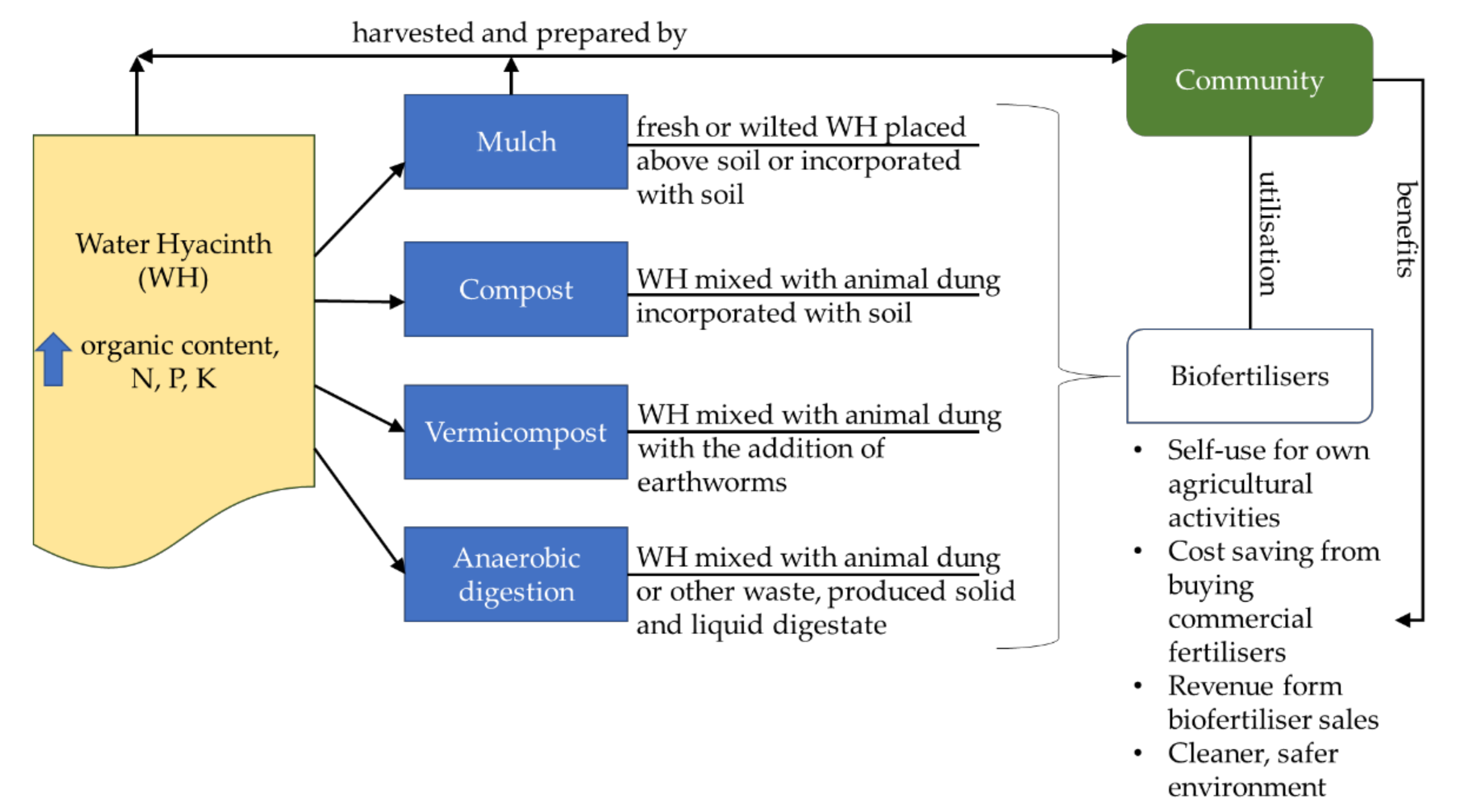 Plants 10 01613 g002