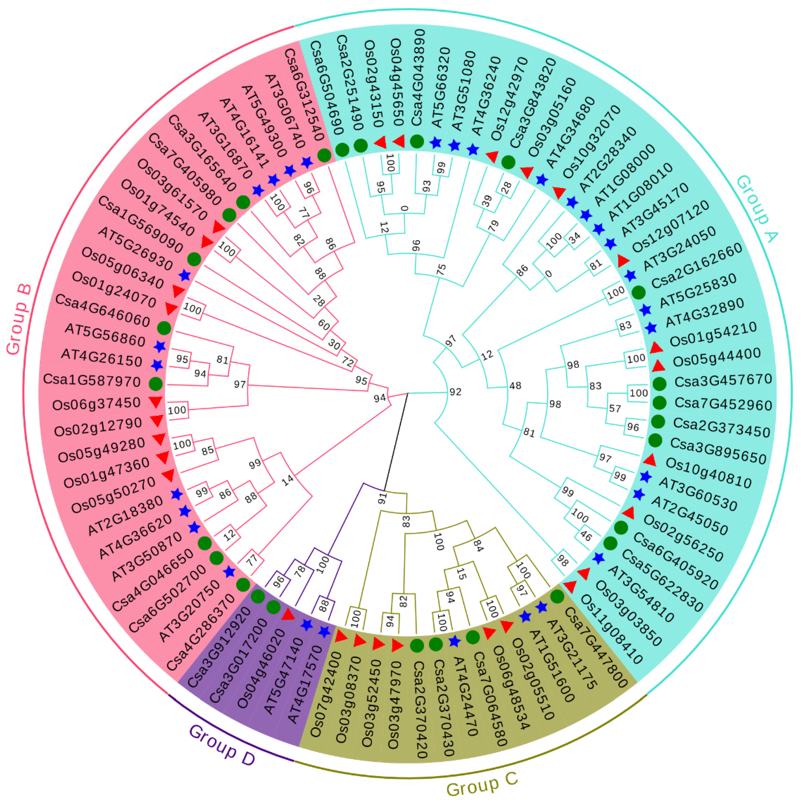 Plants 10 01626 g001