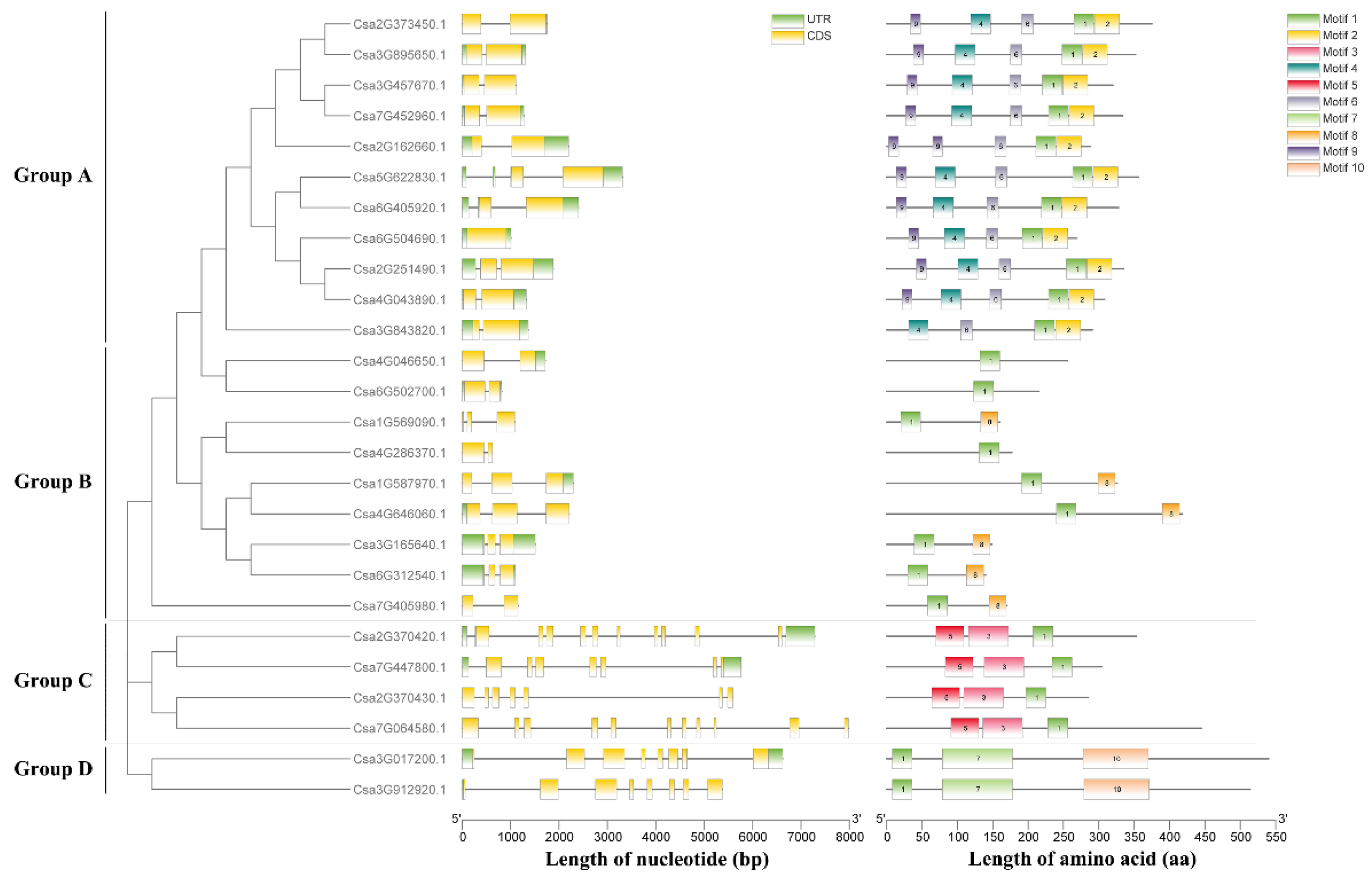 Plants 10 01626 g003