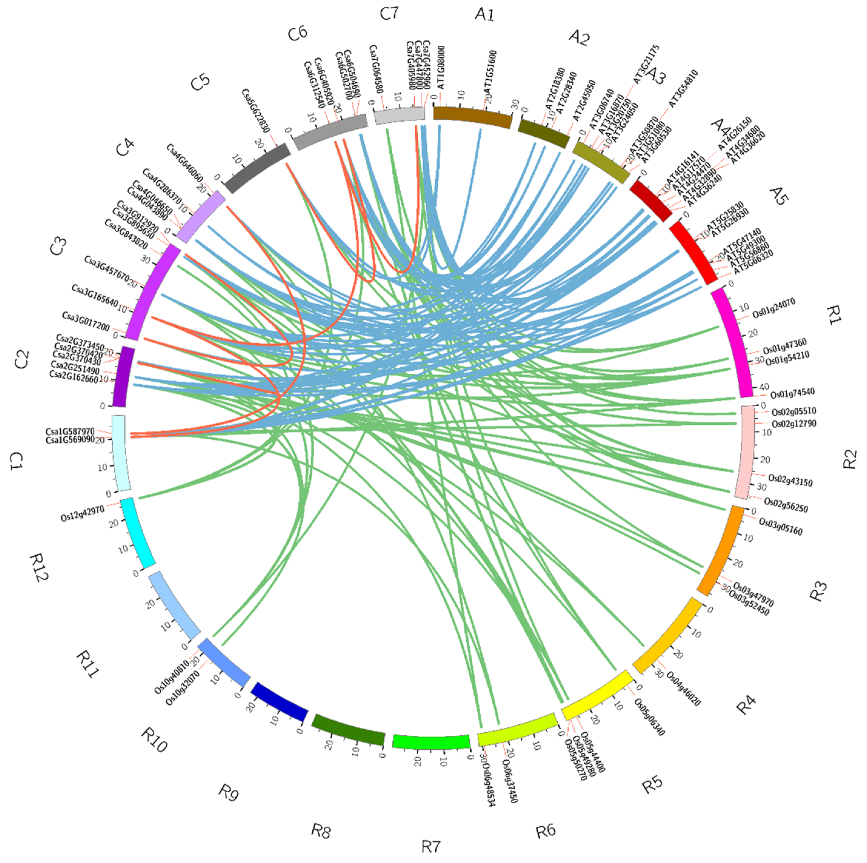 Plants 10 01626 g004