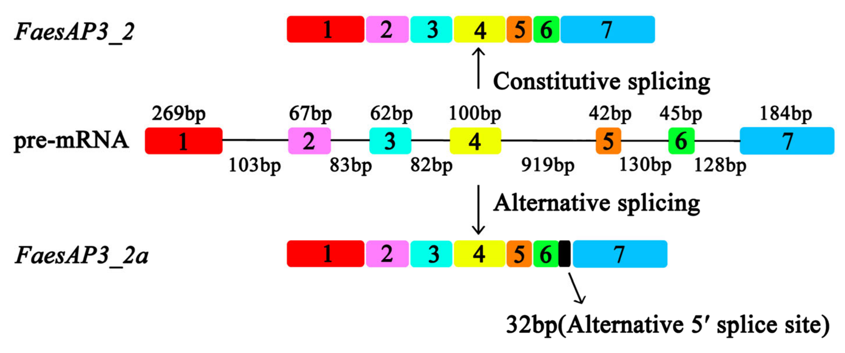 Plants 10 01644 g002
