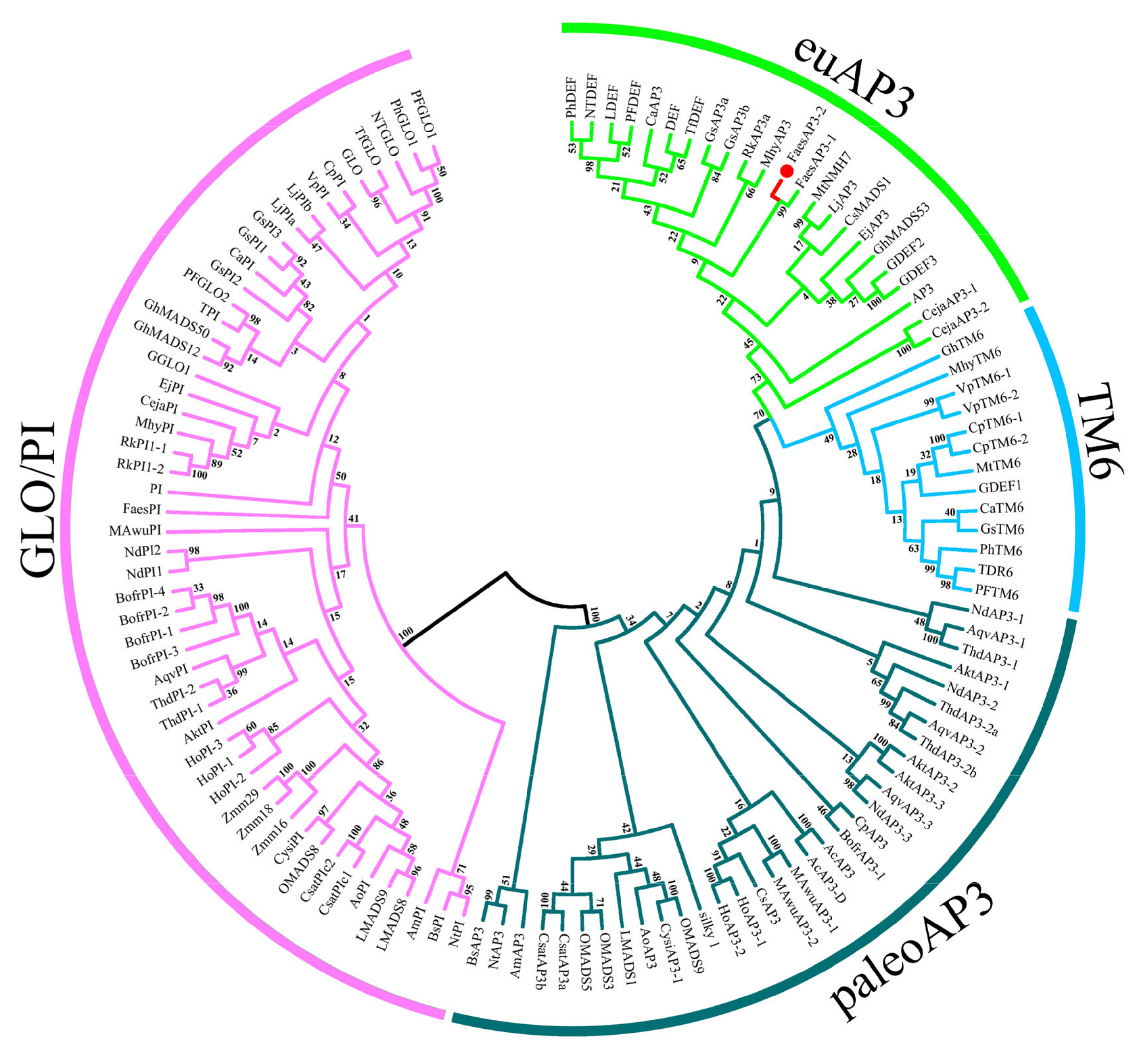 Plants 10 01644 g003