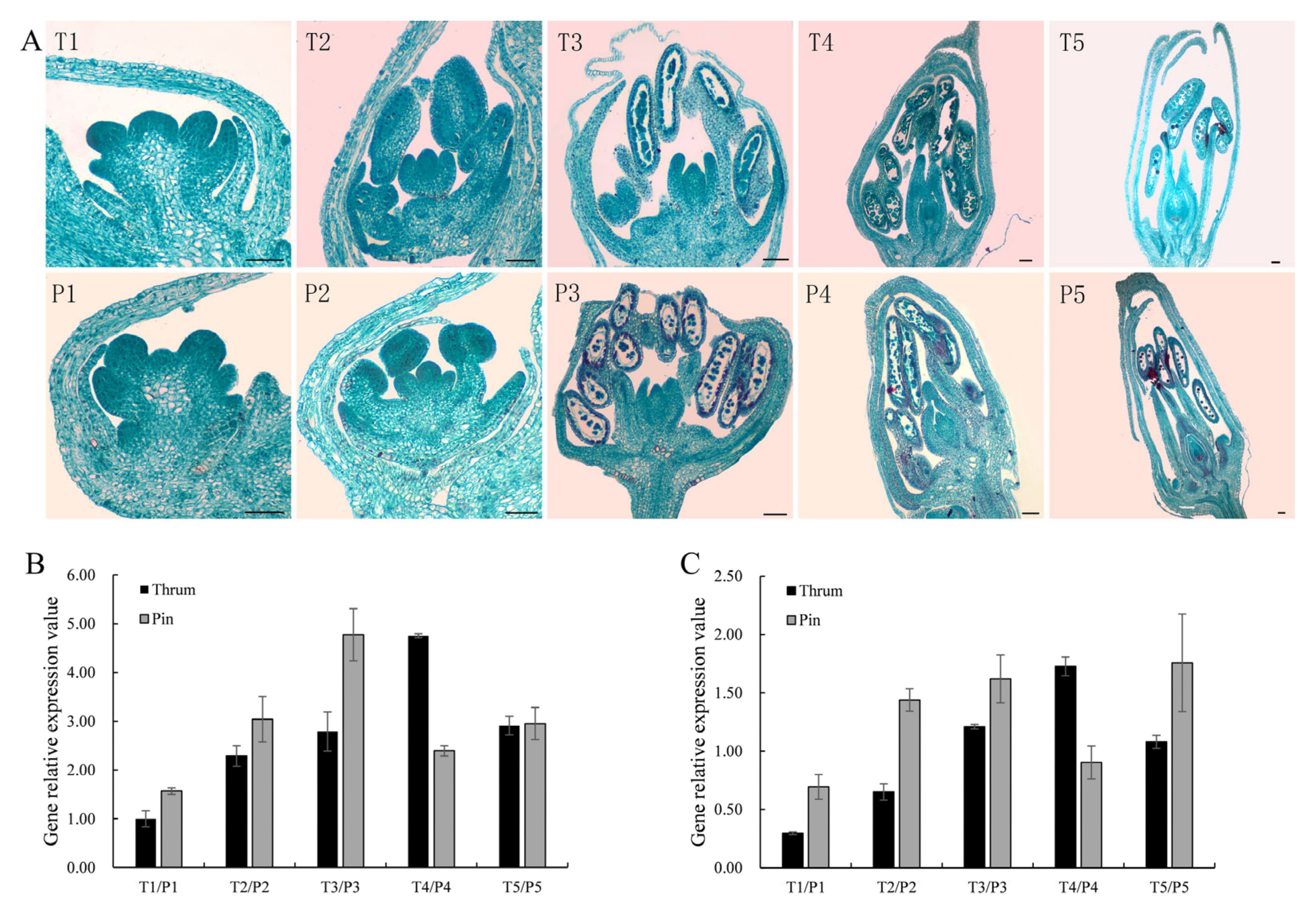 Plants 10 01644 g006