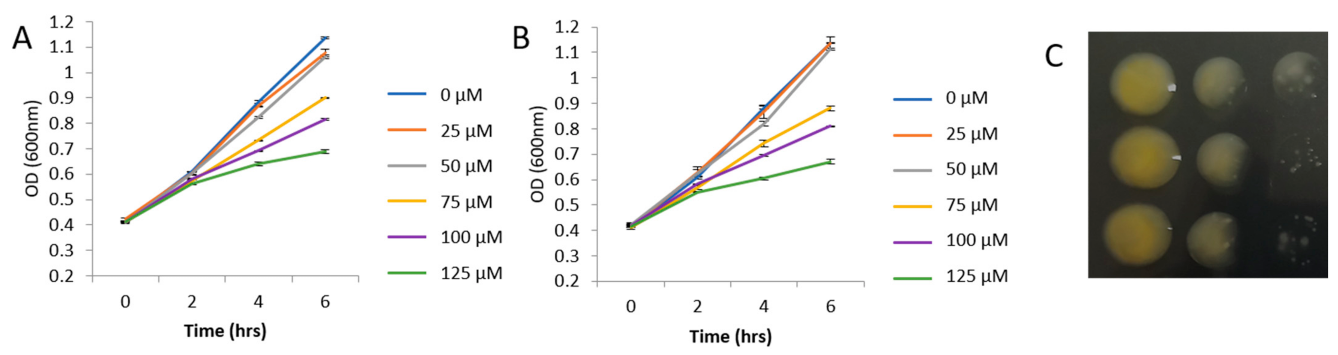 Plants 10 01656 g001