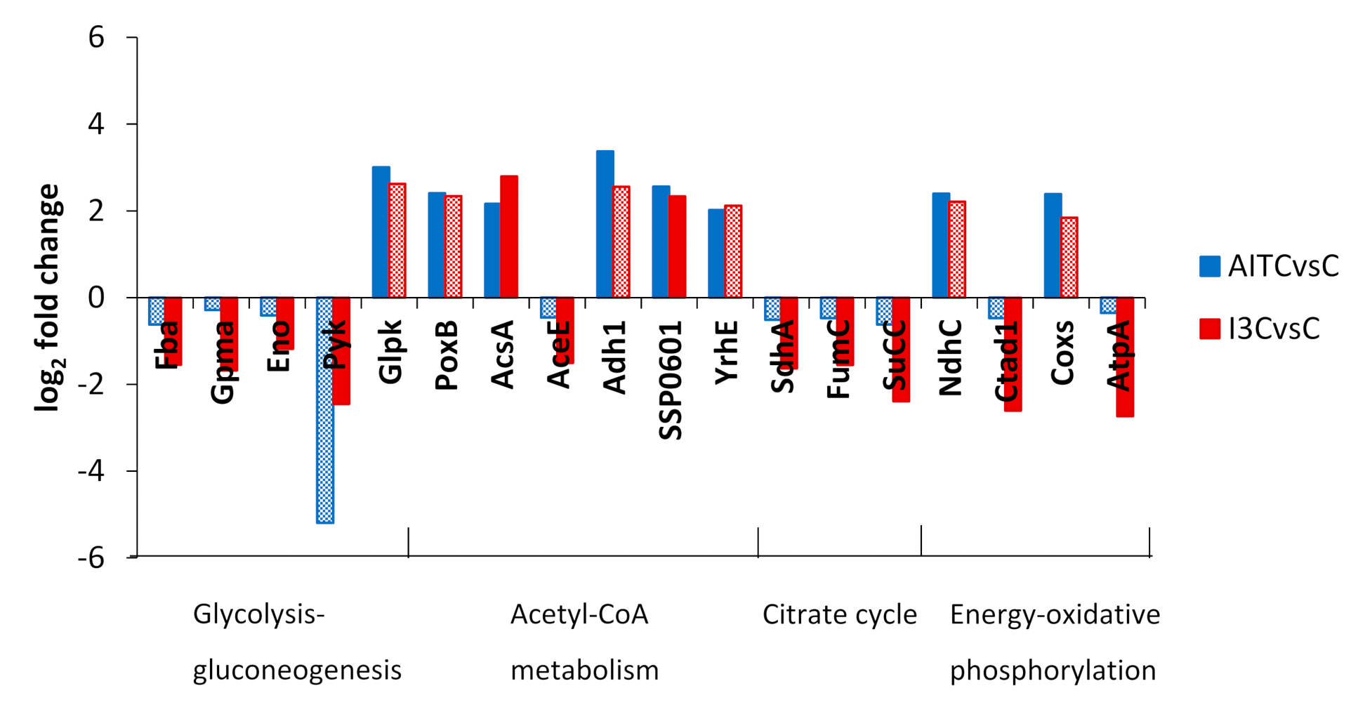 Plants 10 01656 g004