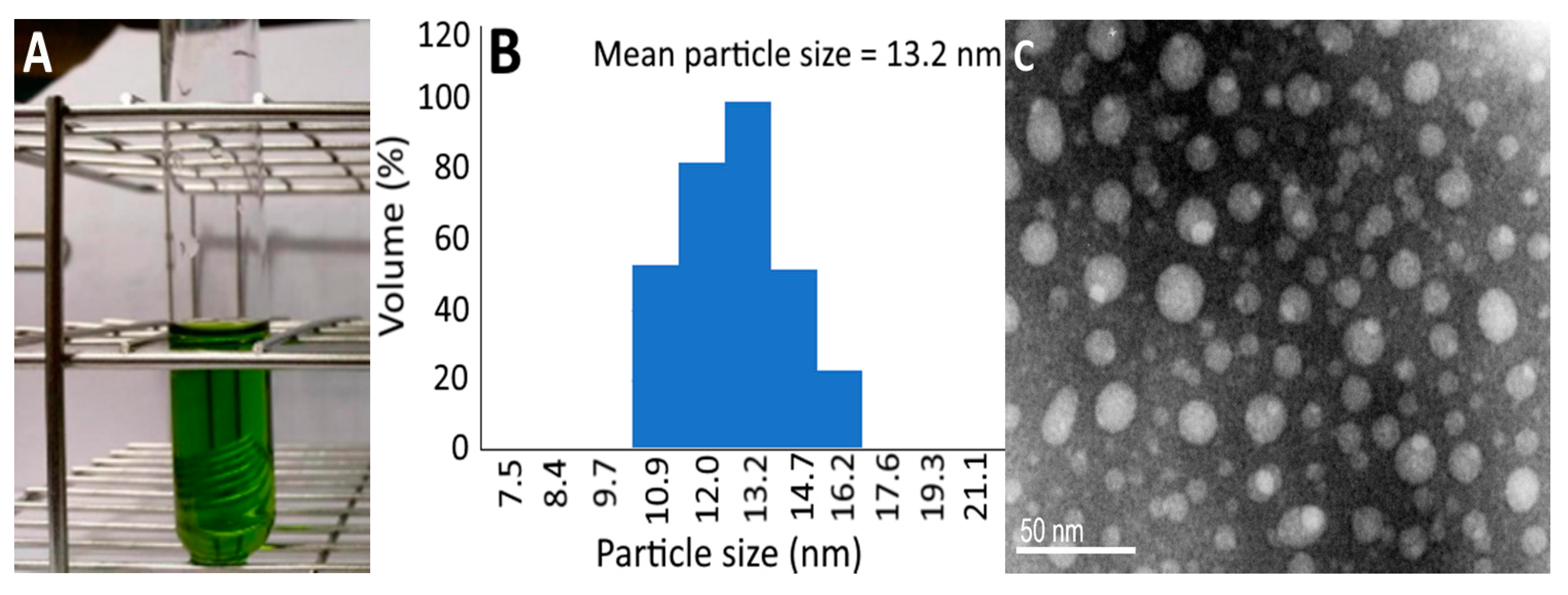 Plants 10 01664 g002