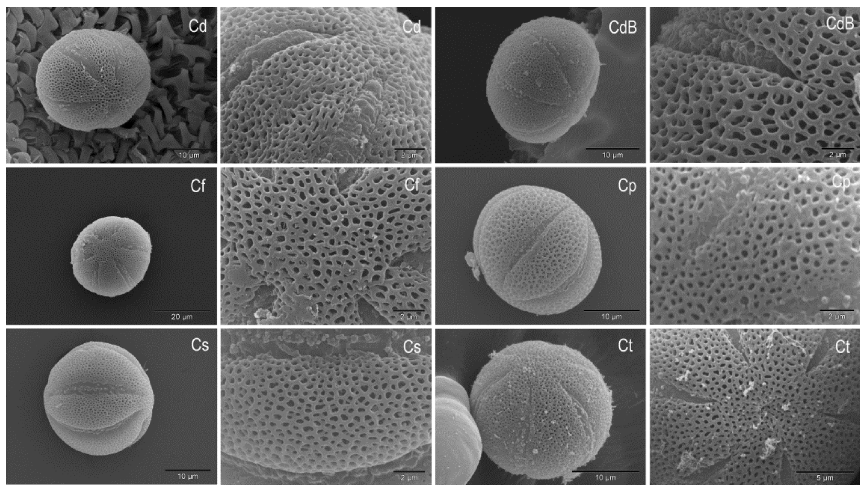 Plants 10 01666 g004 Plants 10 01666 g004