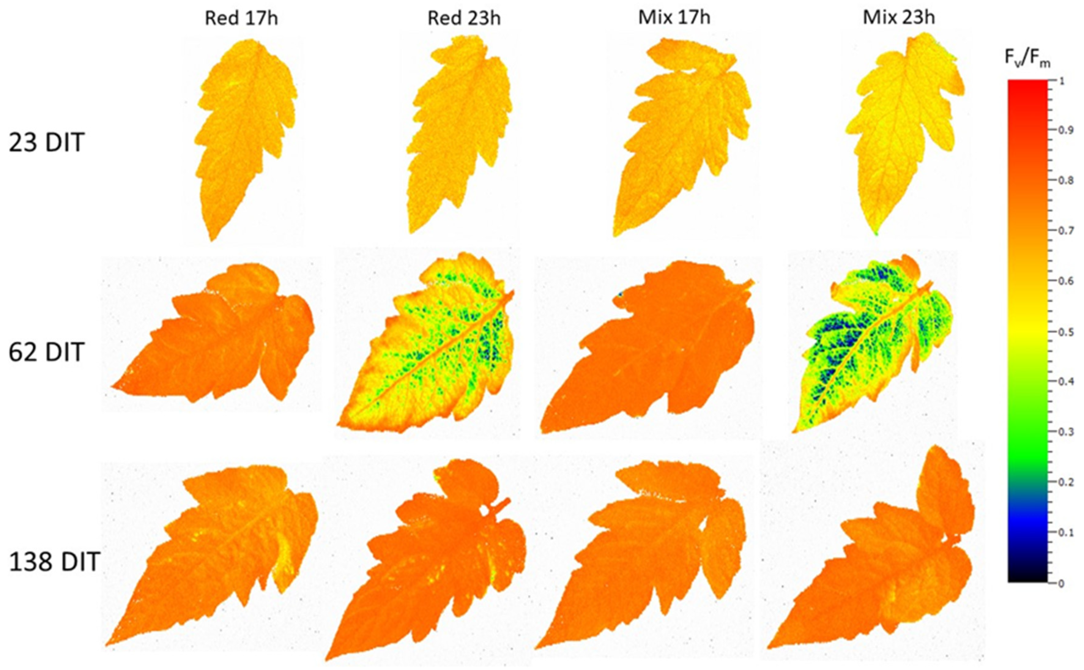 Plants 10 01674 g004 Plants 10 01674 g004