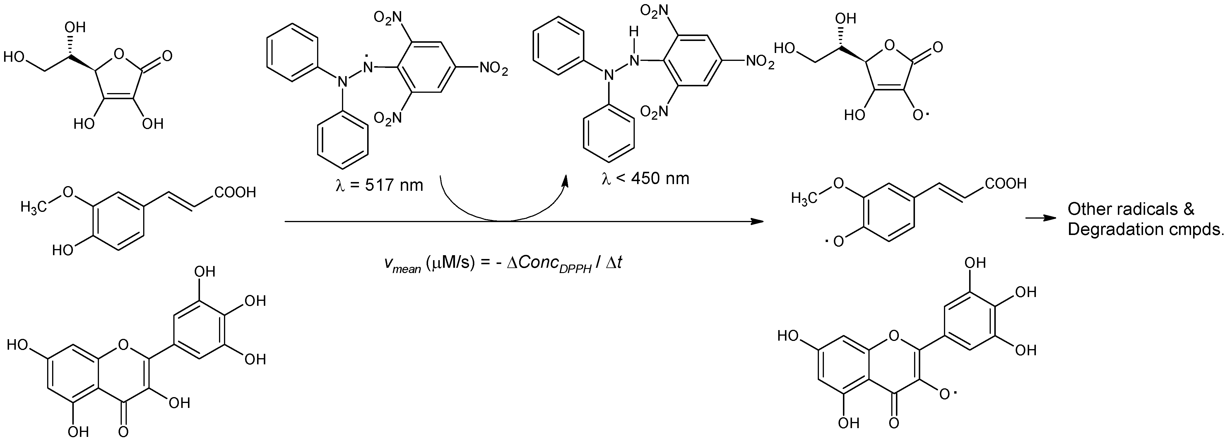 Plants 10 01679 g002