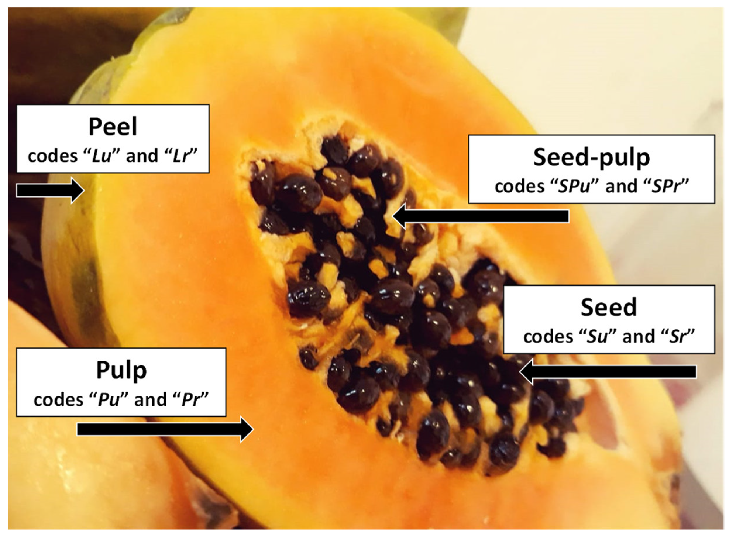 Plants 10 01679 g004