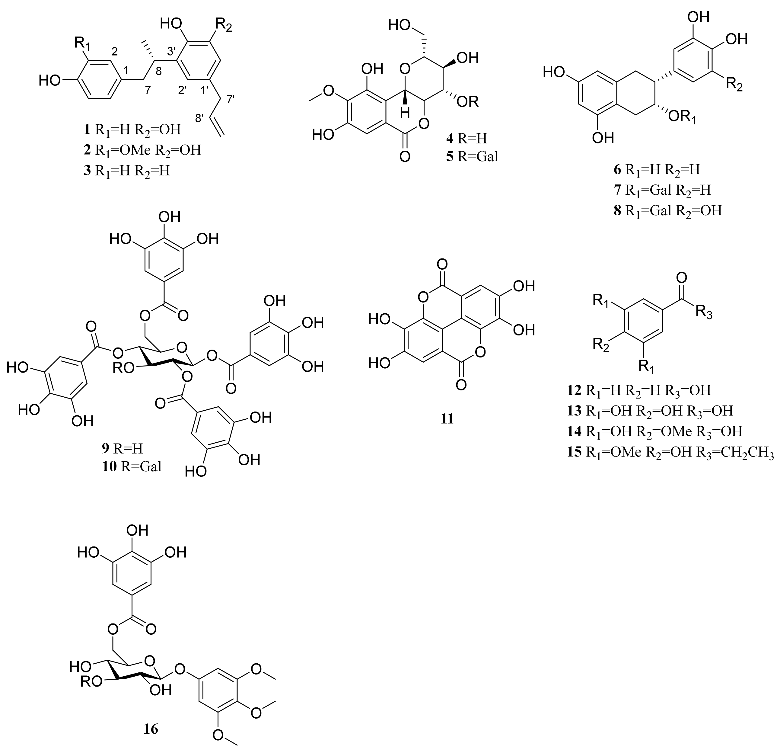 Plants 10 01684 g001
