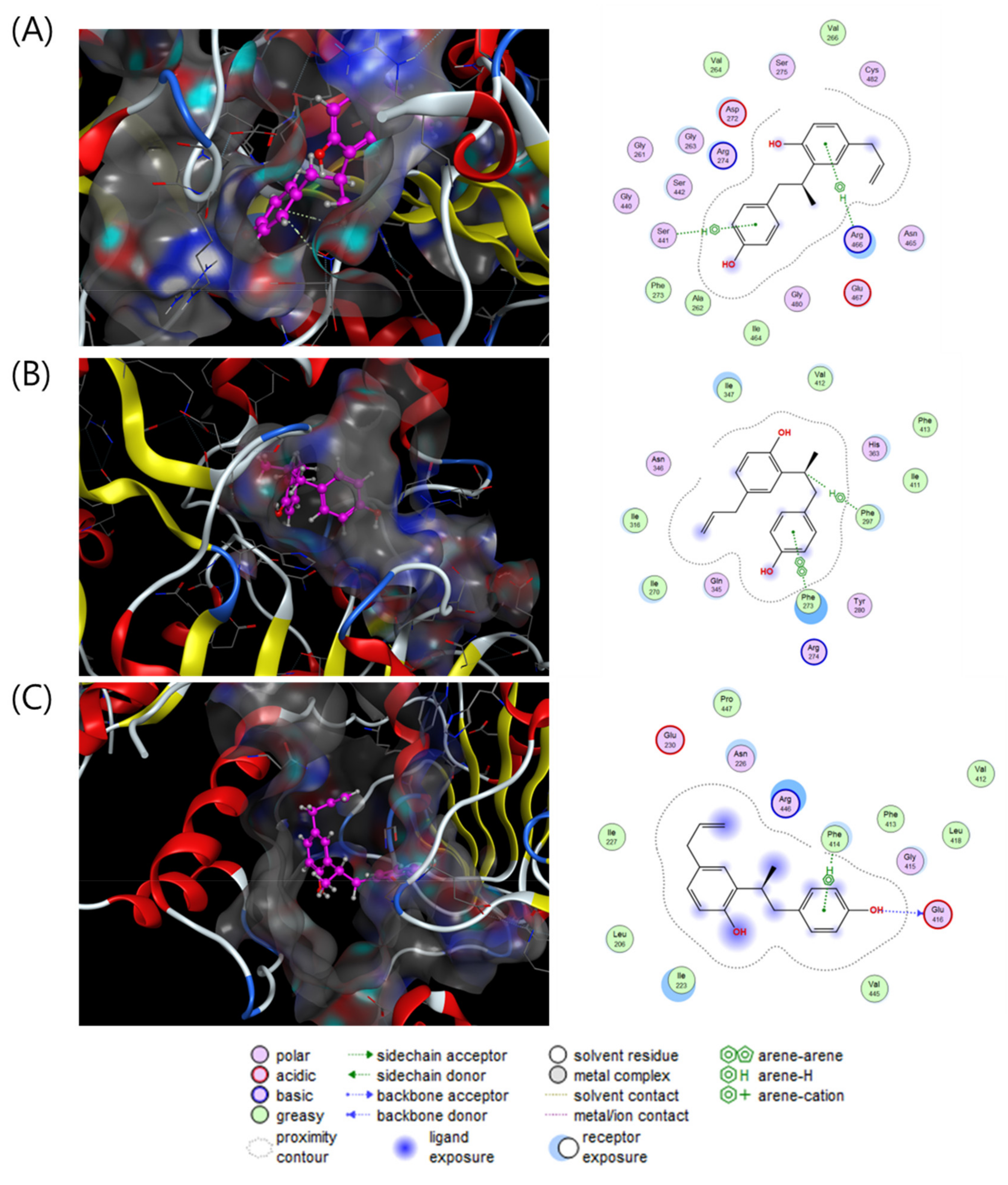 Plants 10 01684 g004