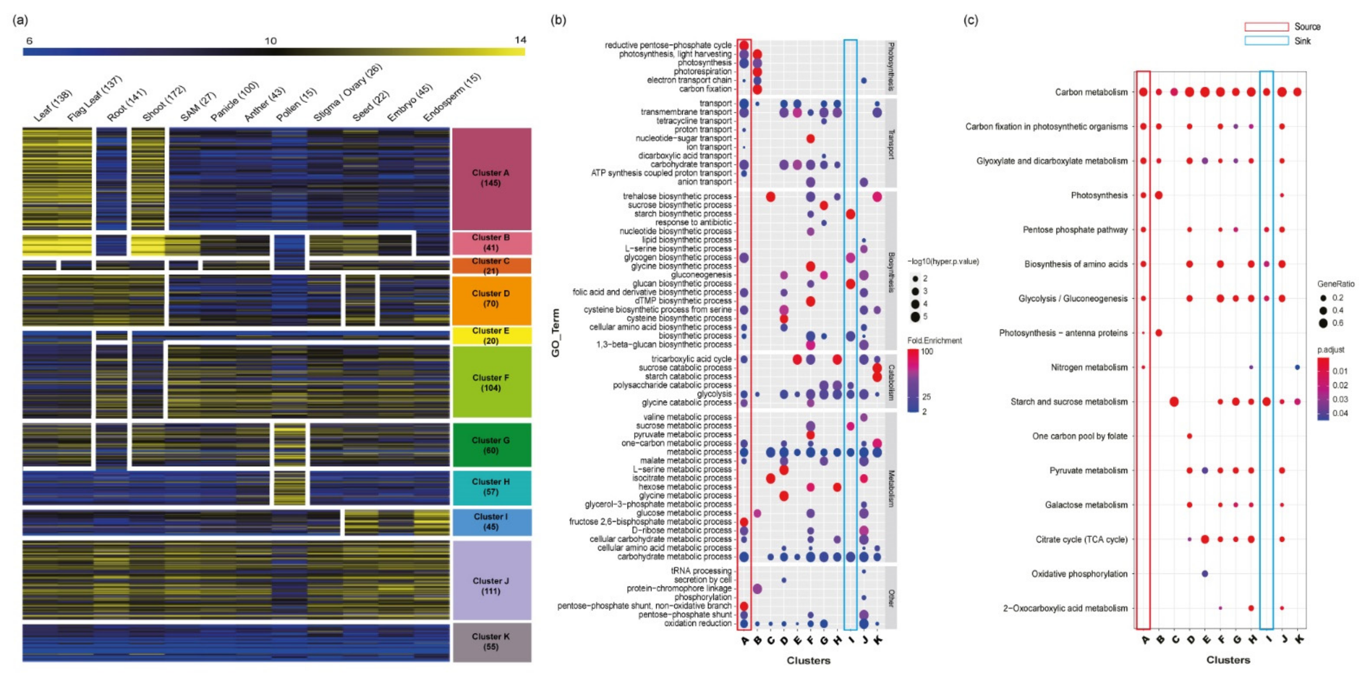 Plants 10 01690 g003