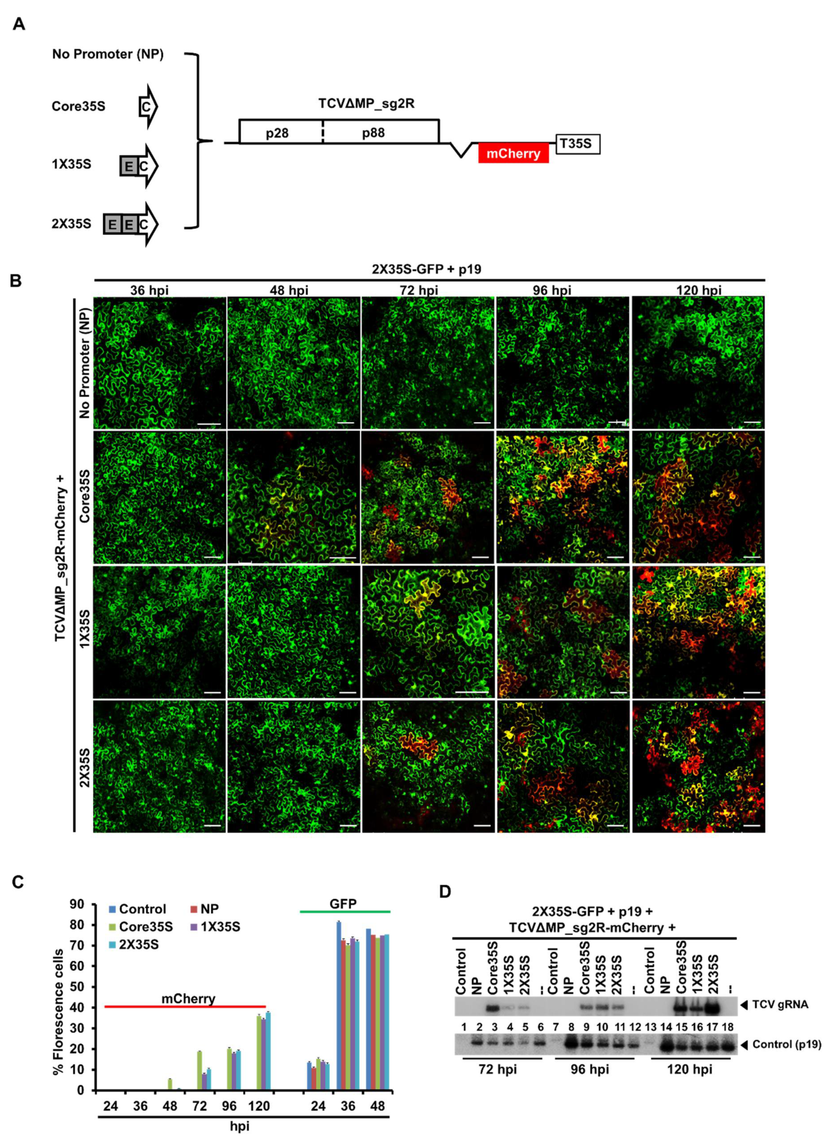 Plants 10 01700 g002