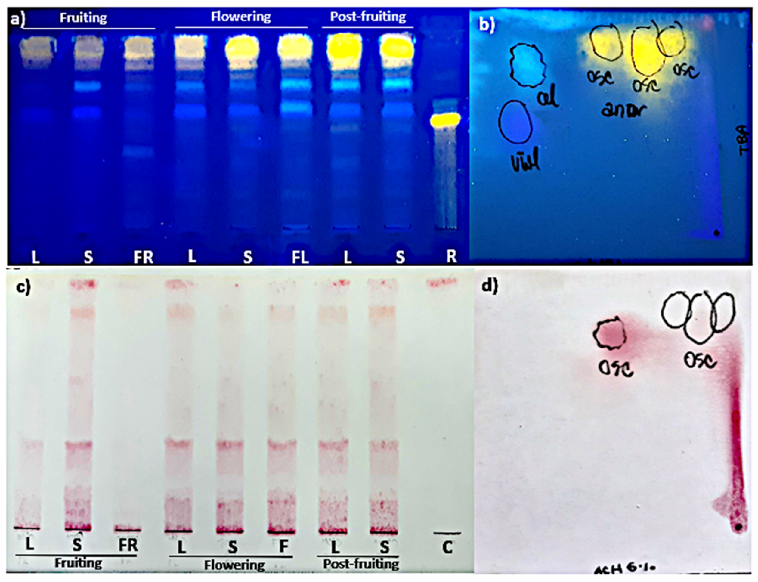 Plants 10 01713 g002