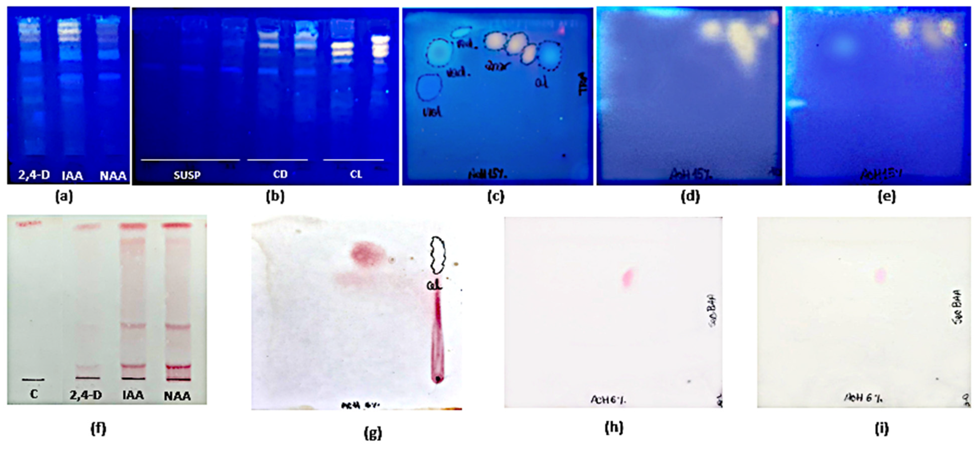 Plants 10 01713 g007