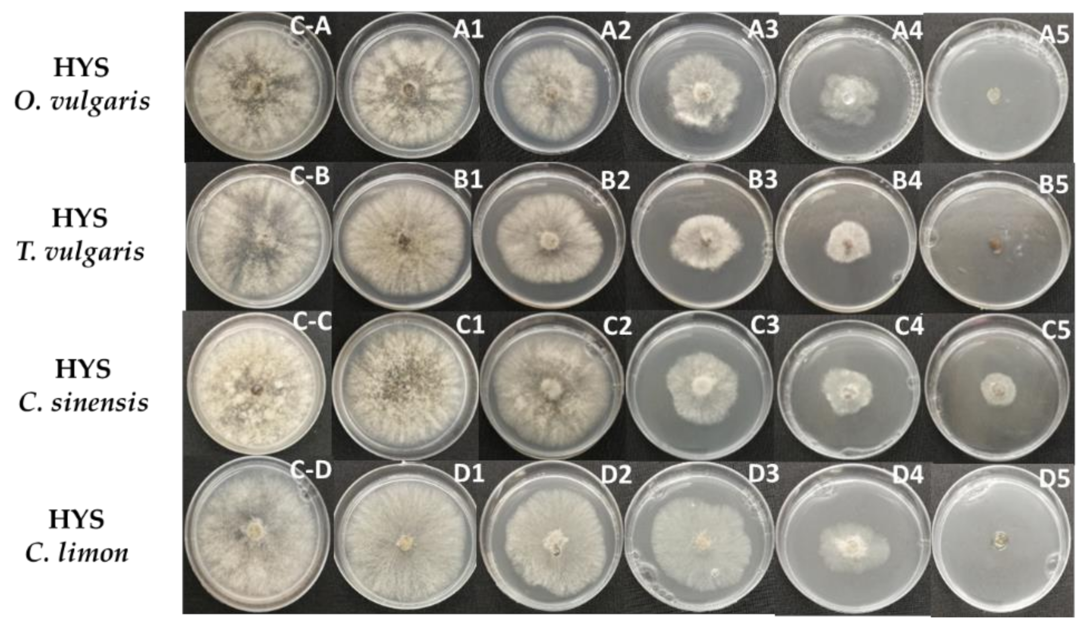 Plants 10 01719 g002