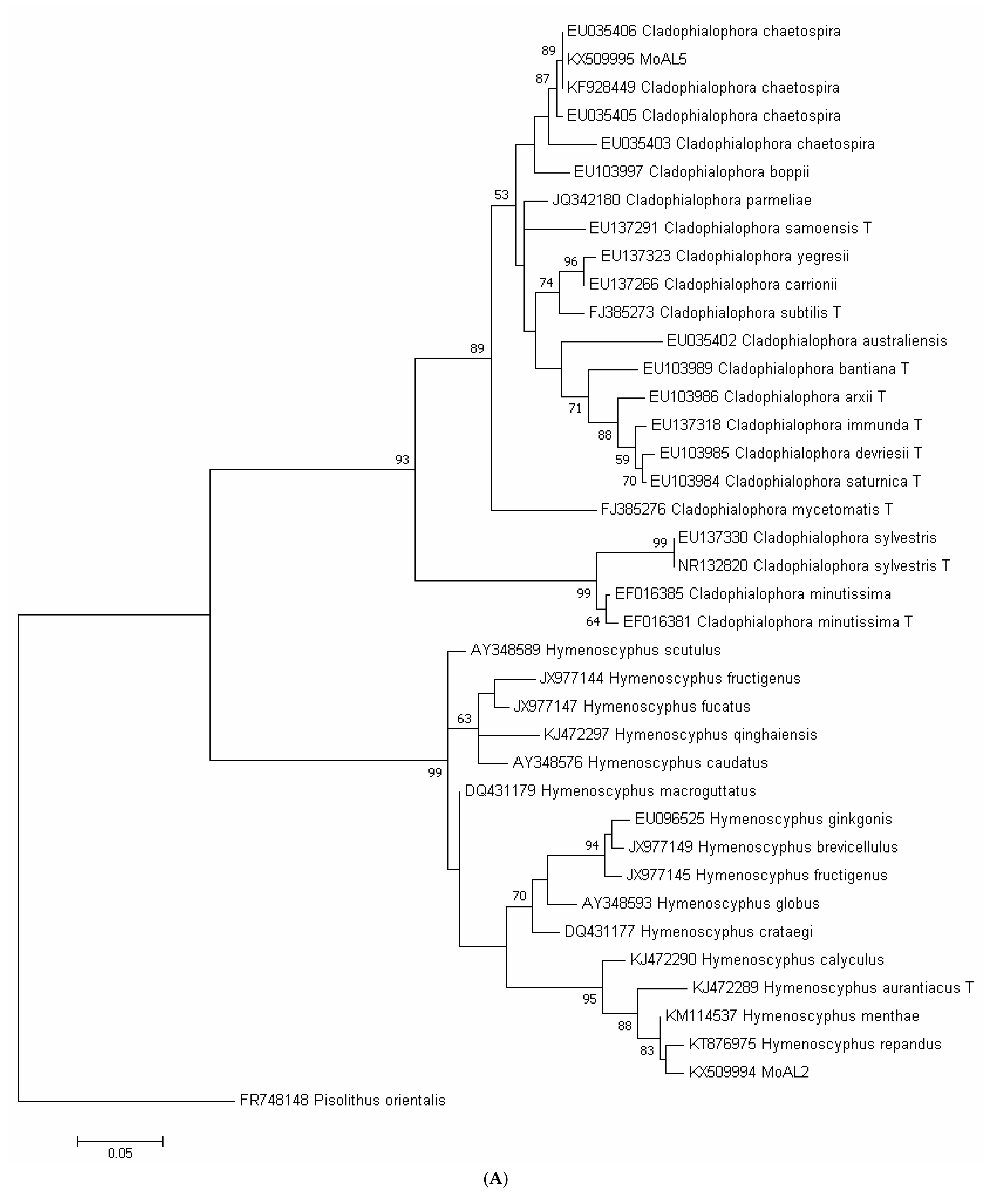 Plants 10 01723 g001a