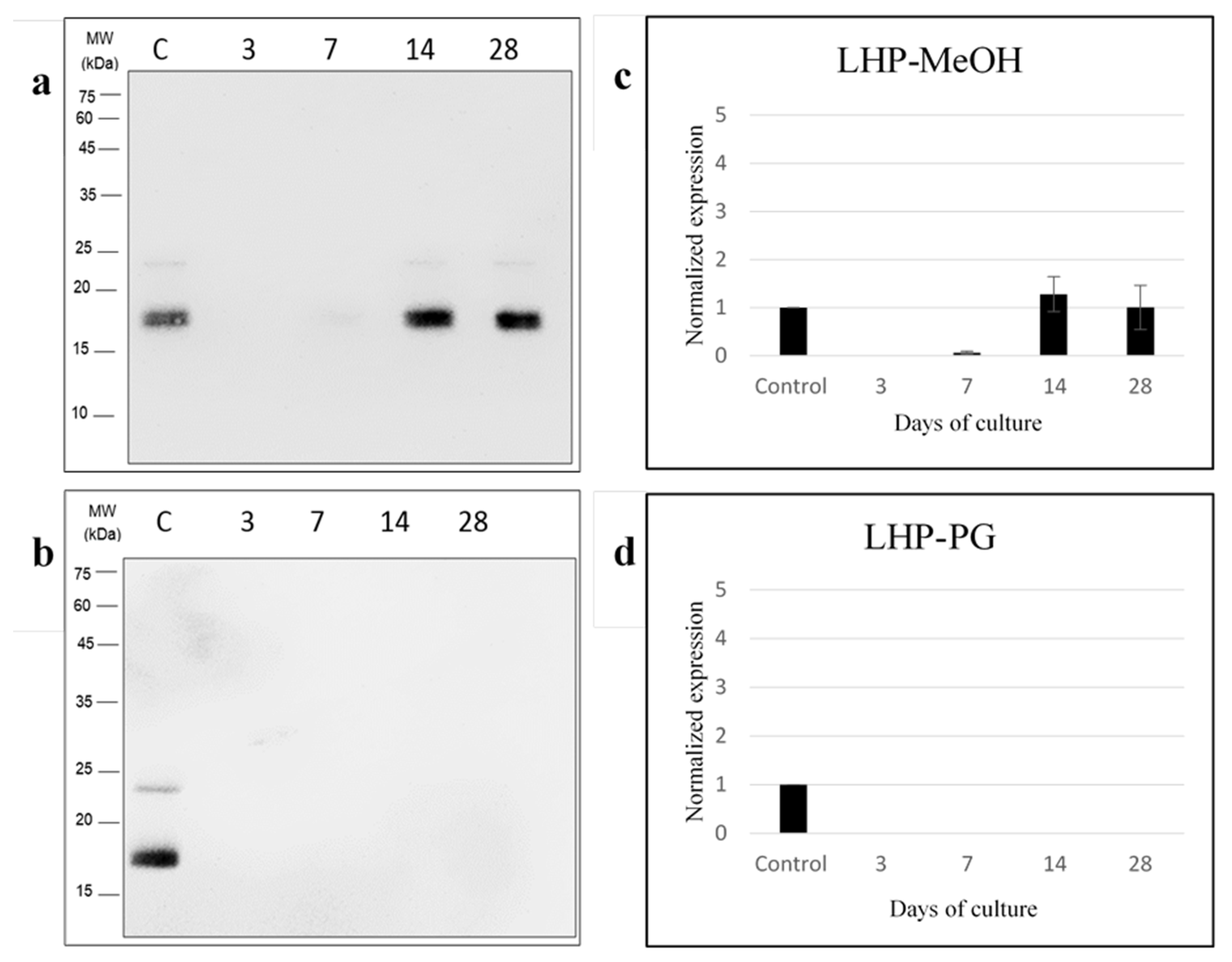 Plants 10 01731 g004