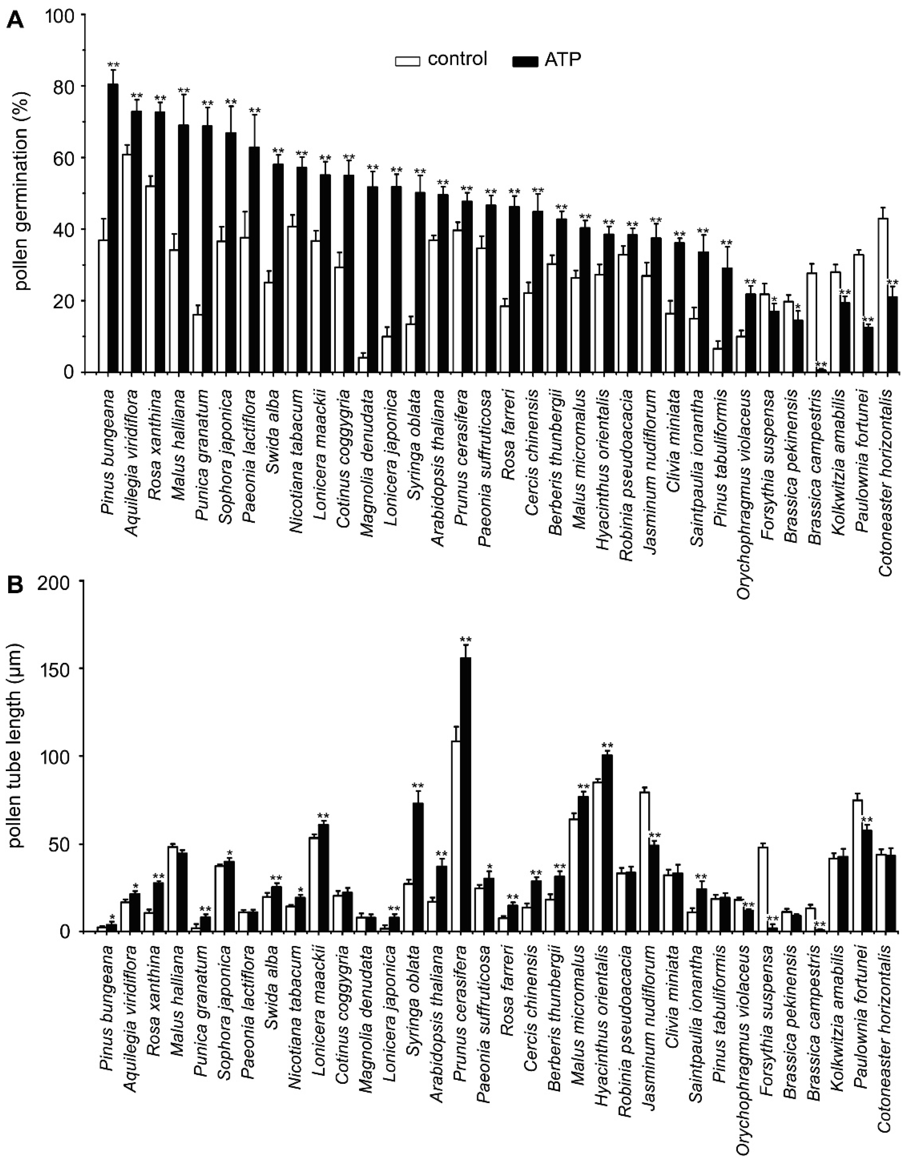 Plants 10 01743 g001