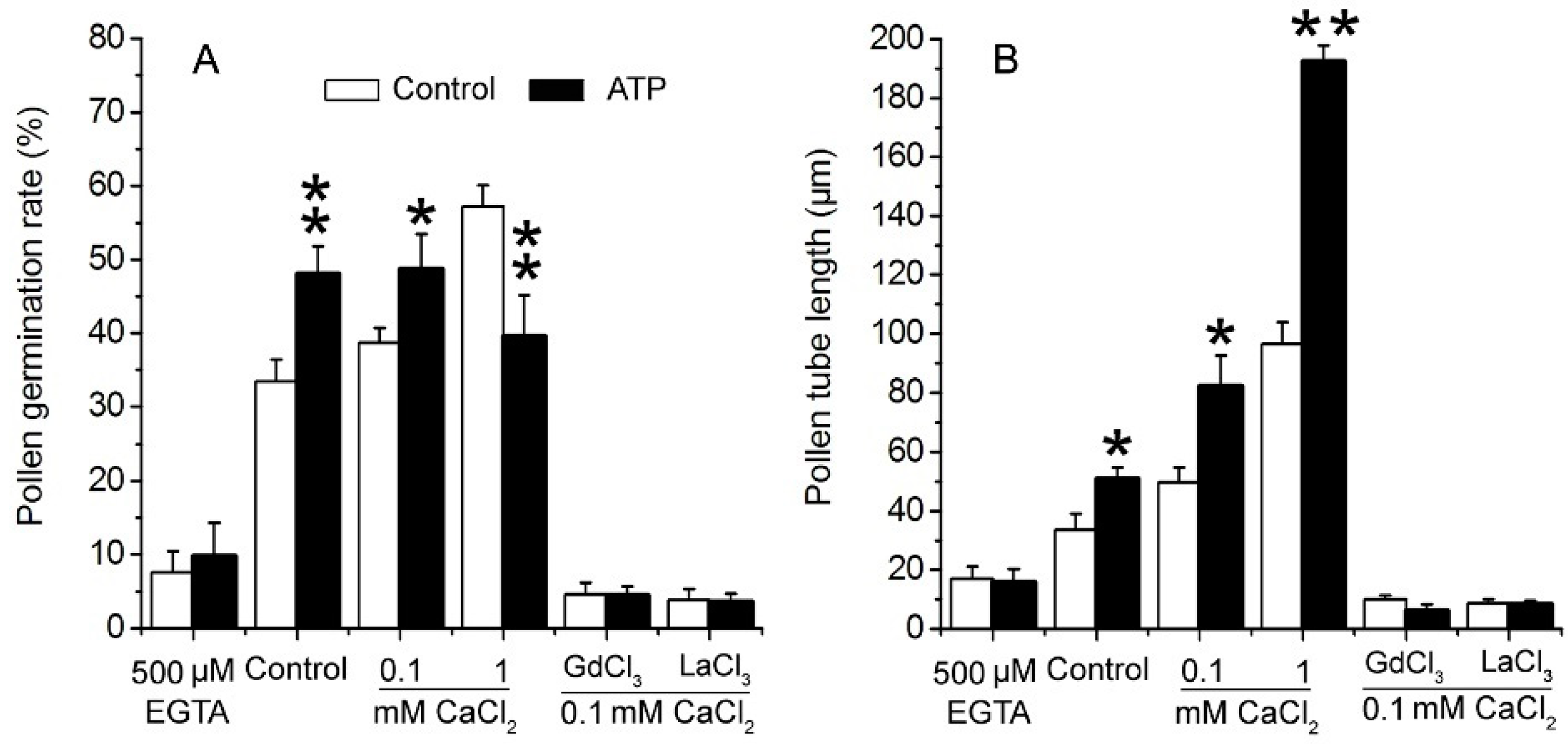 Plants 10 01743 g003