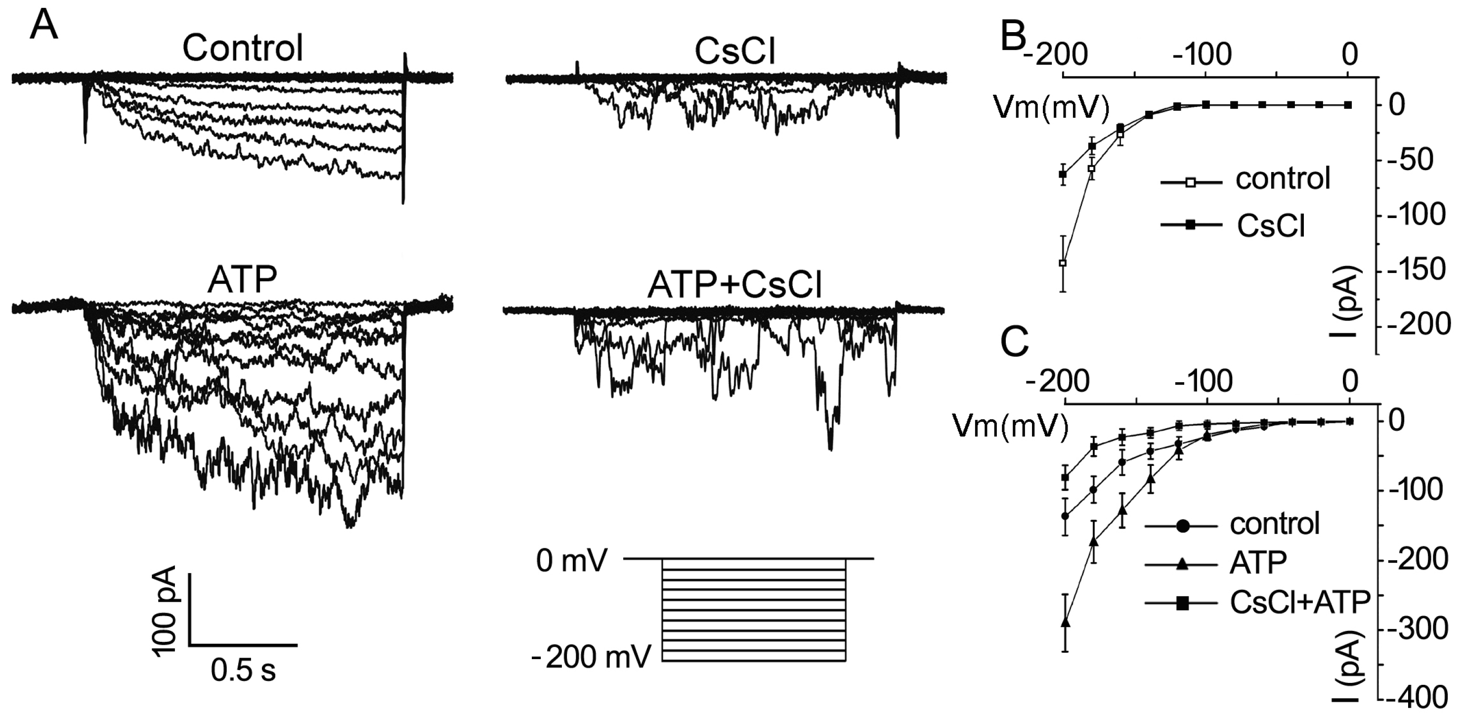 Plants 10 01743 g004