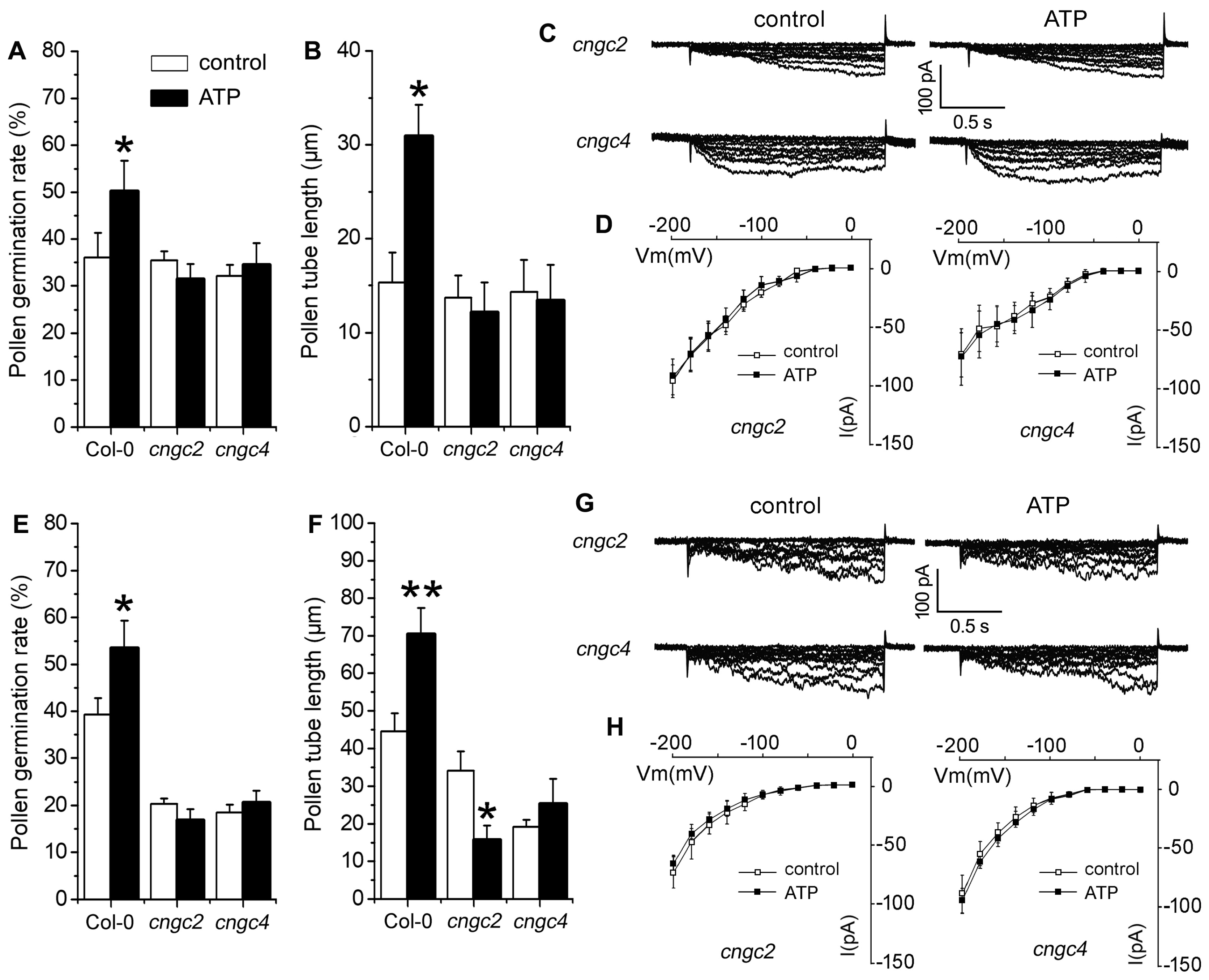 Plants 10 01743 g008