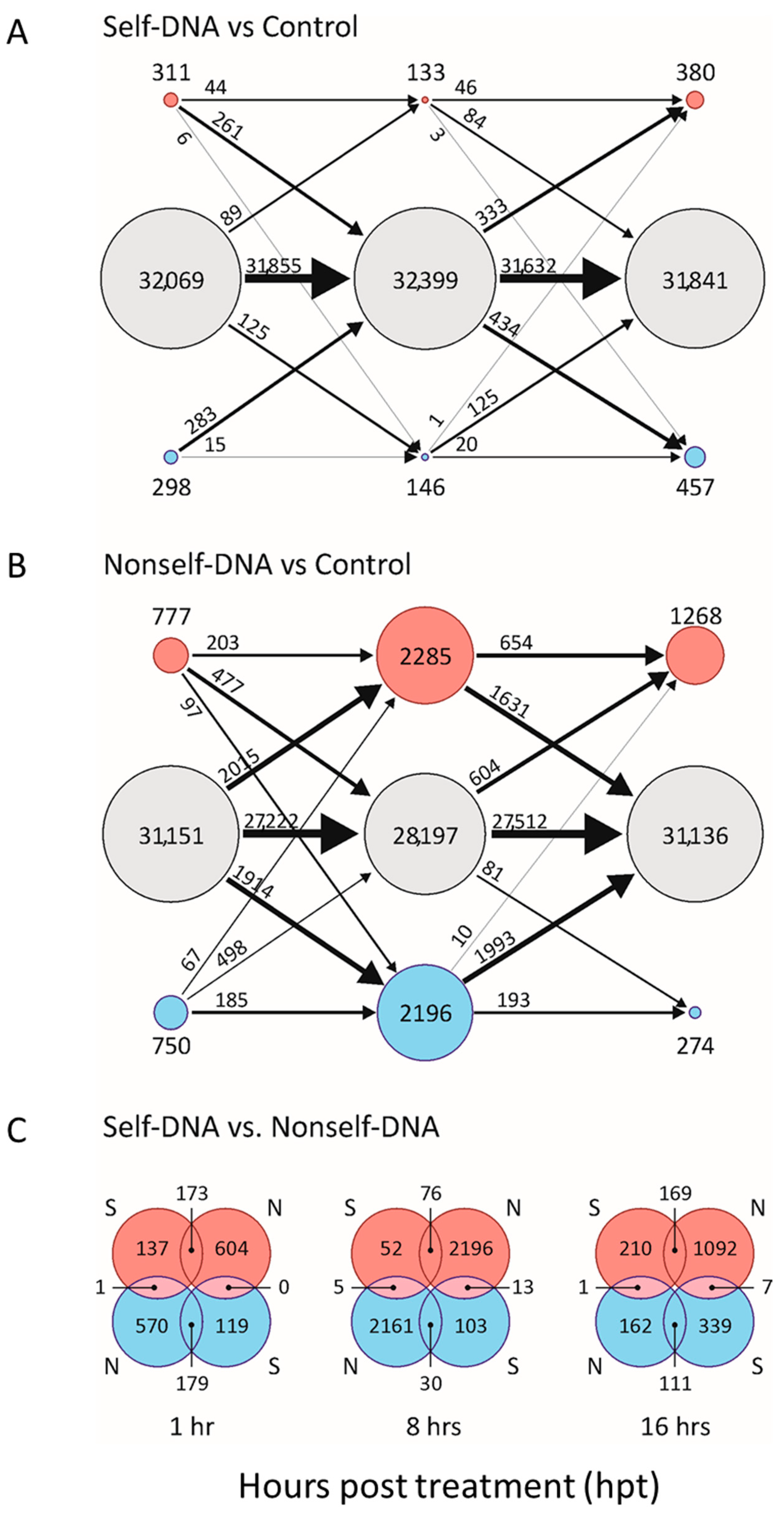 Plants 10 01744 g001