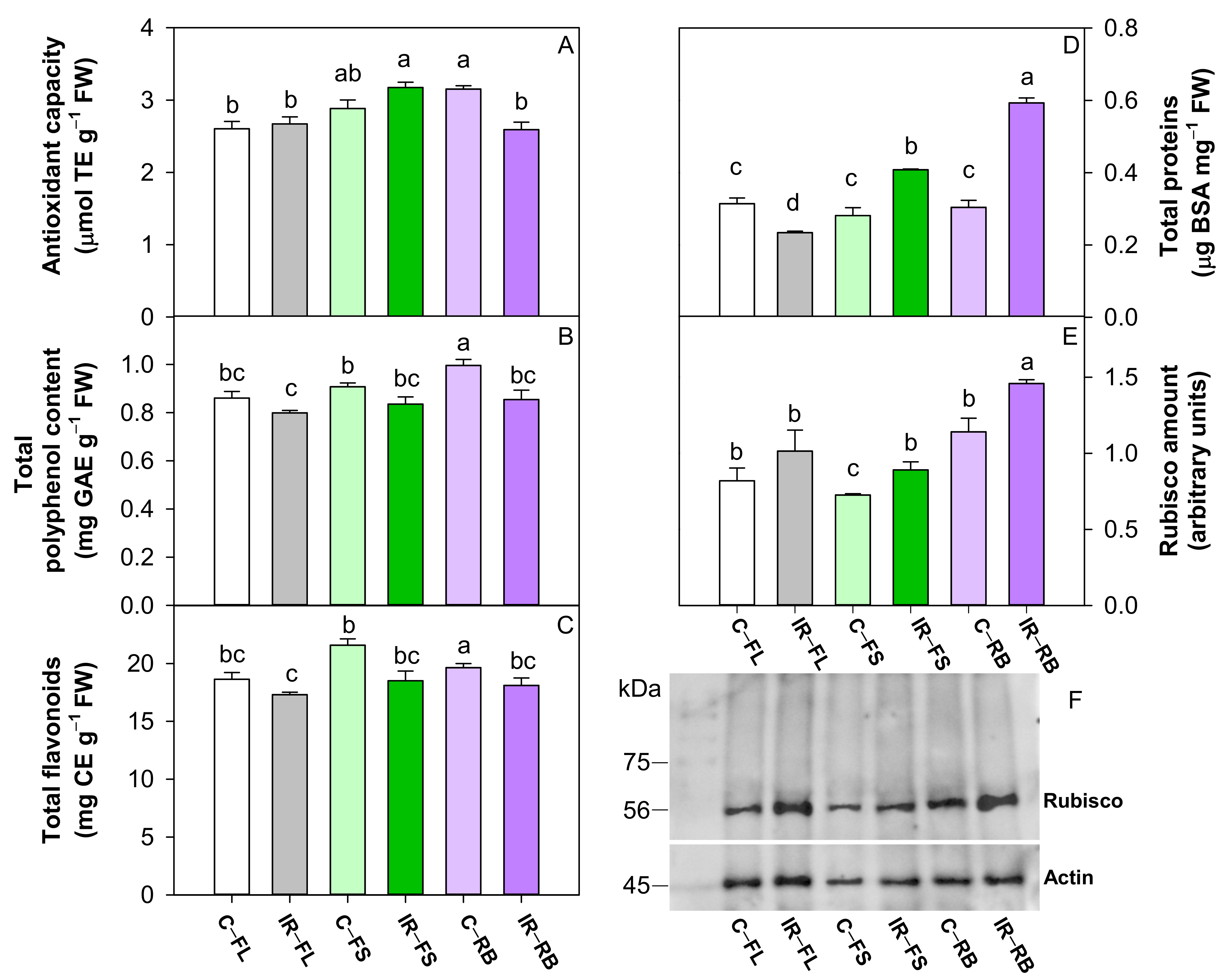 Plants 10 01752 g005