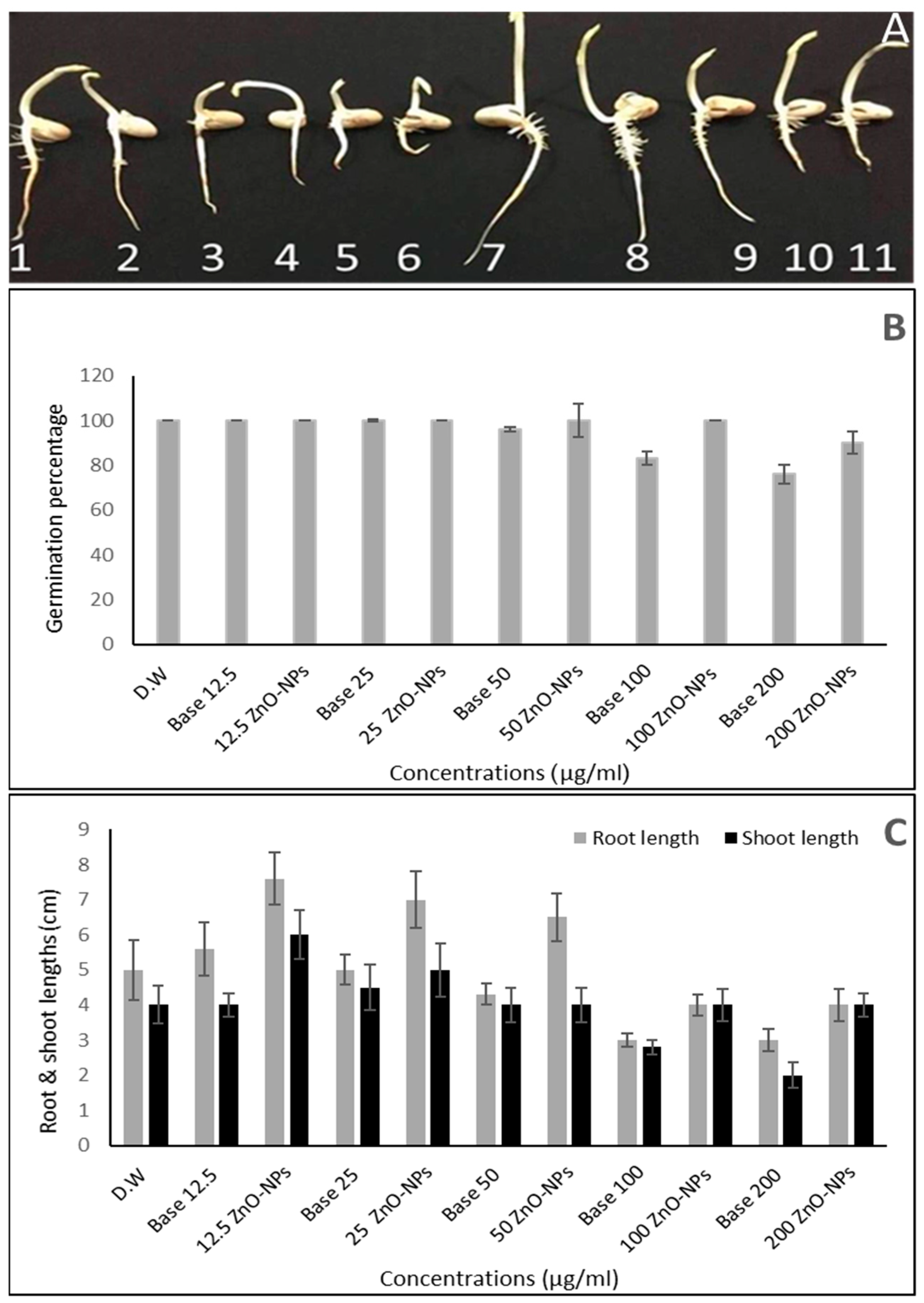 Plants 10 01760 g009
