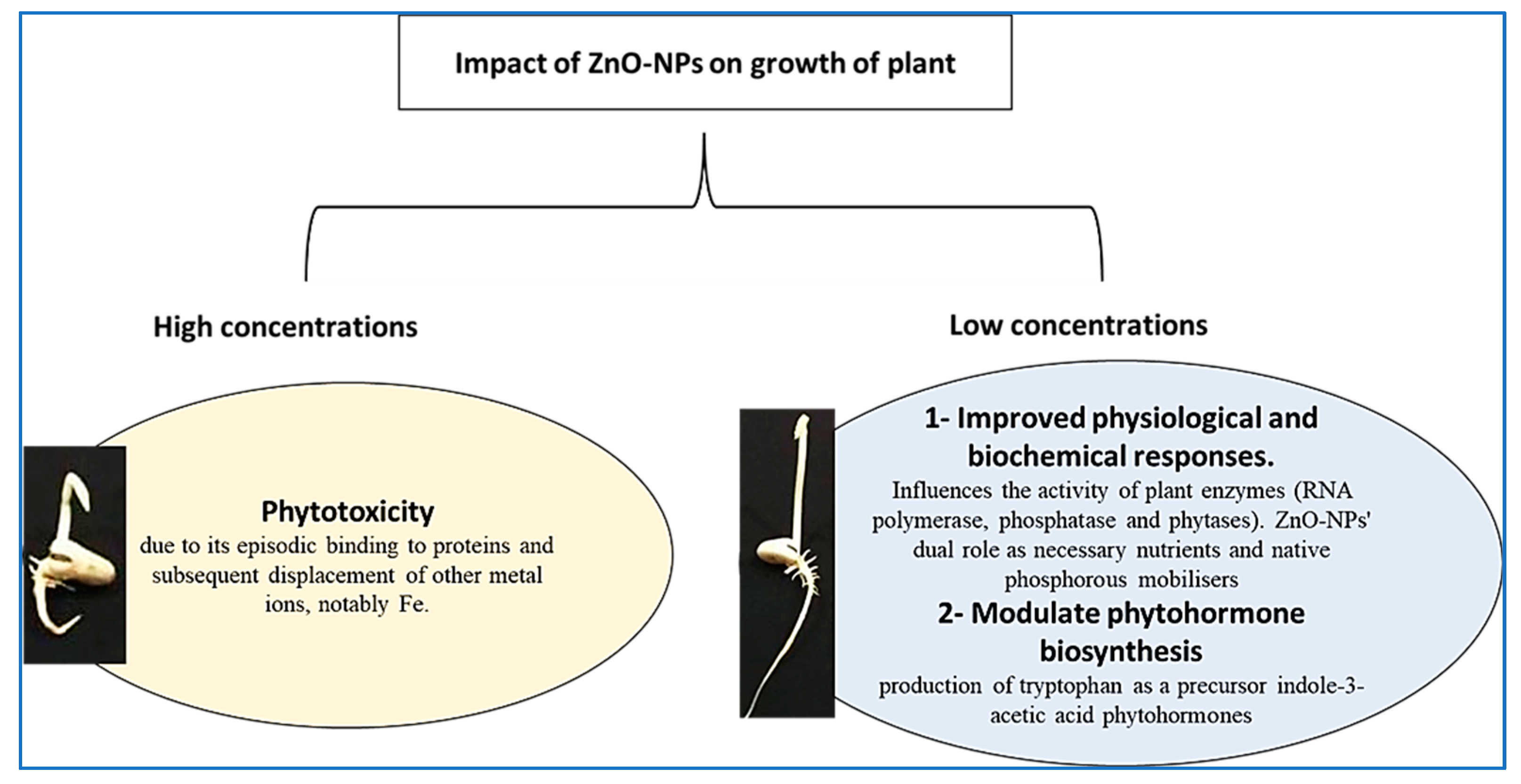 Plants 10 01760 g012