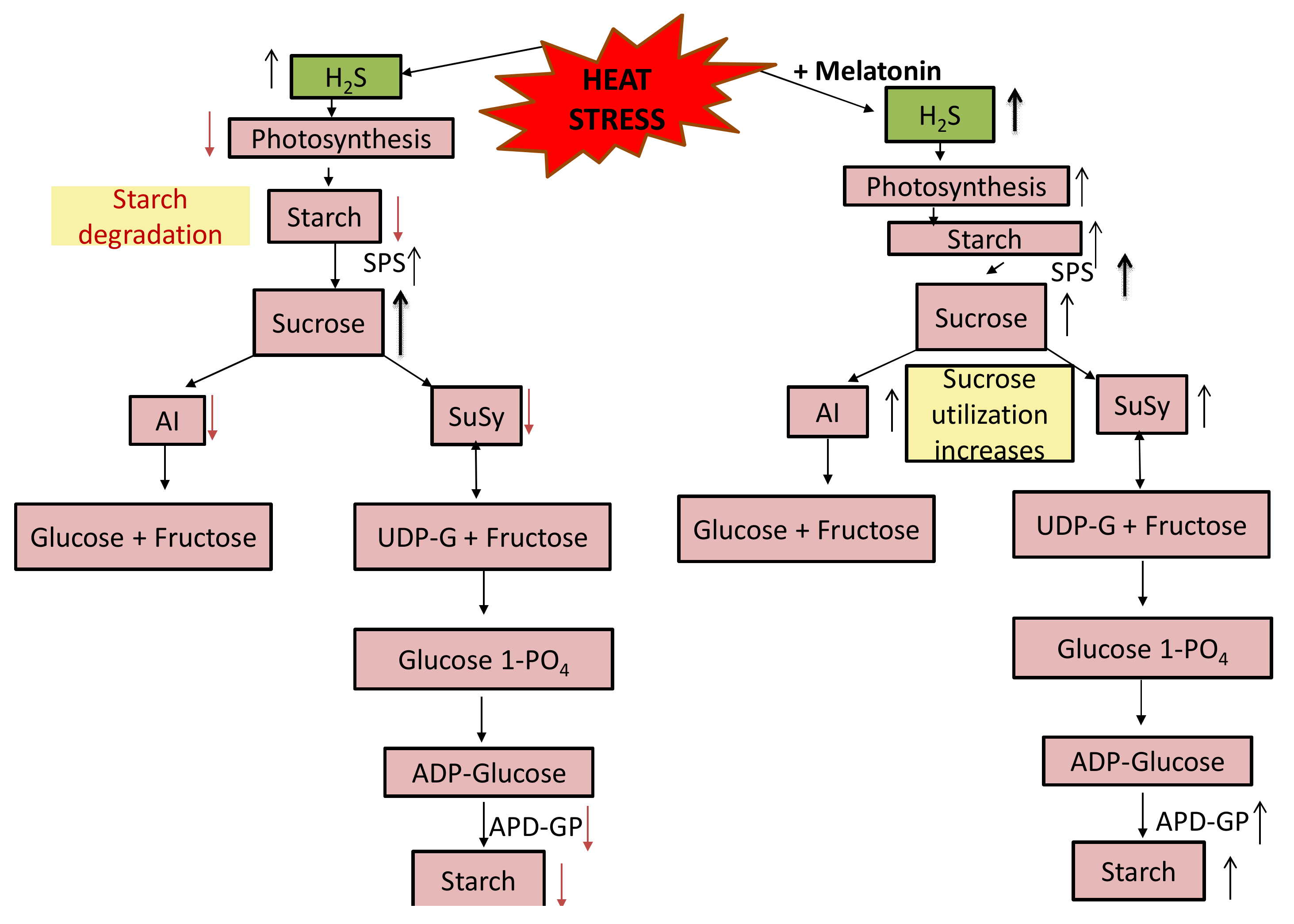 Plants 10 01778 g009