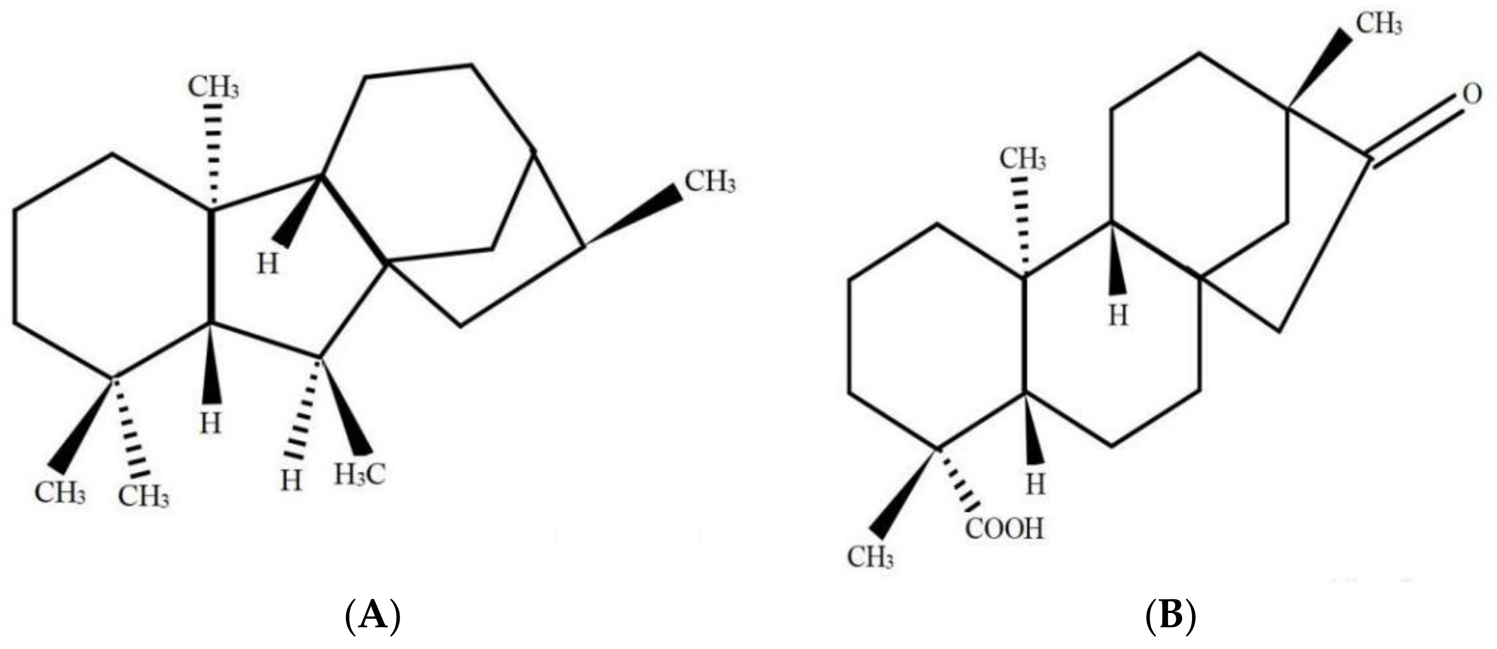 Plants 10 01779 g001