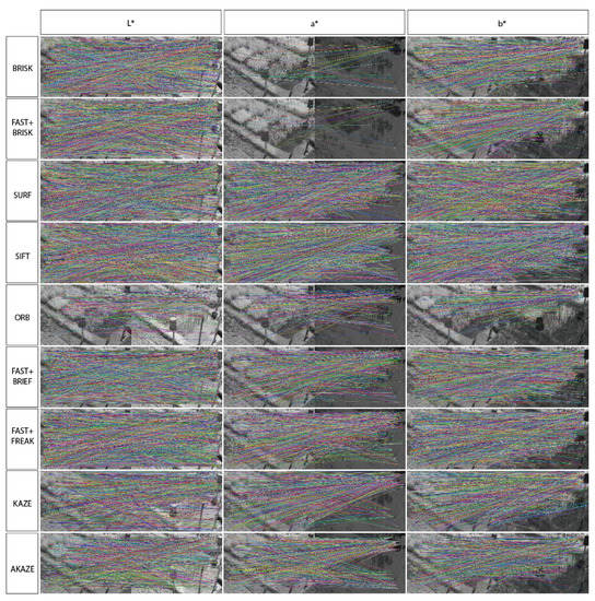Plants 10 01791 g0a4 550