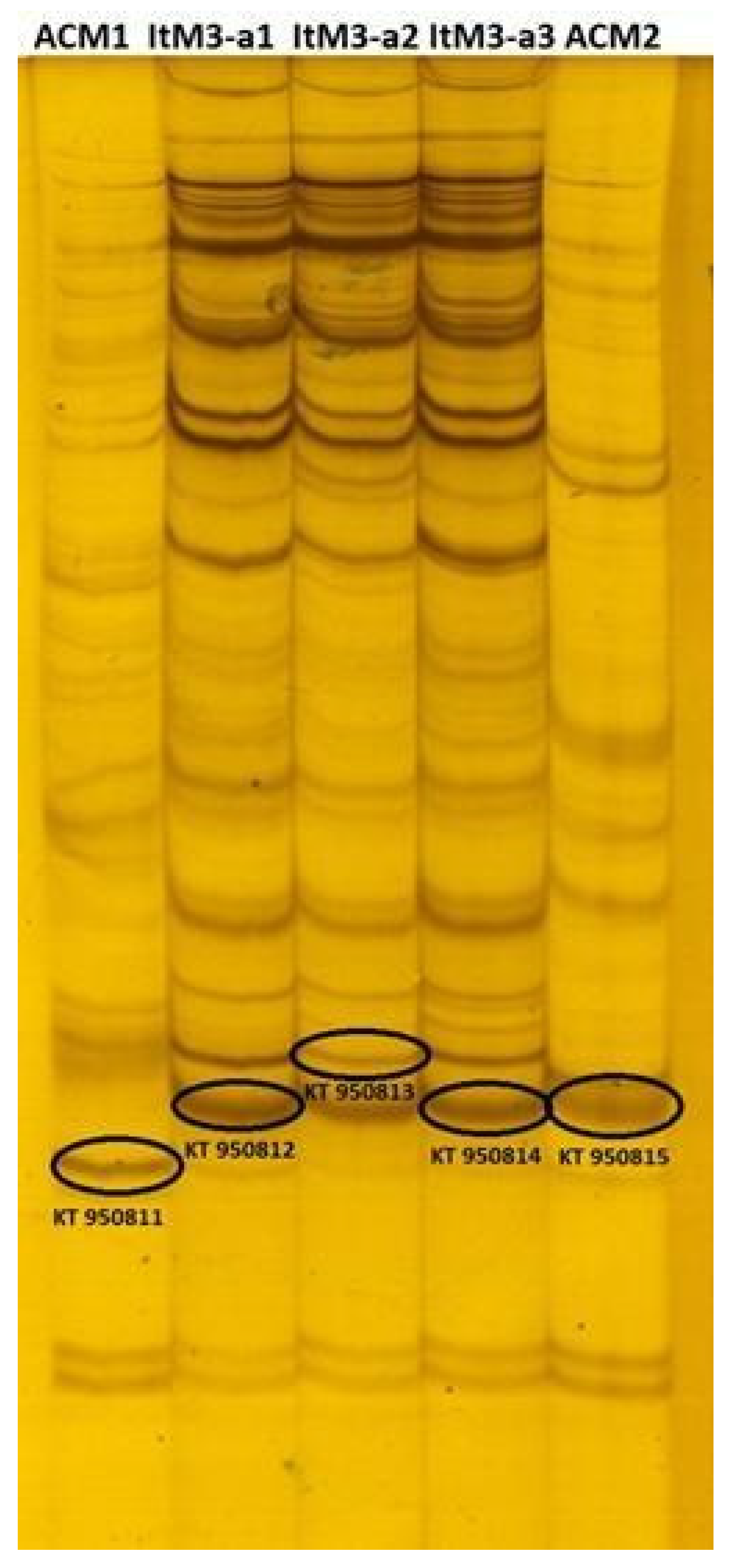 Plants 10 01803 g003 Plants 10 01803 g003