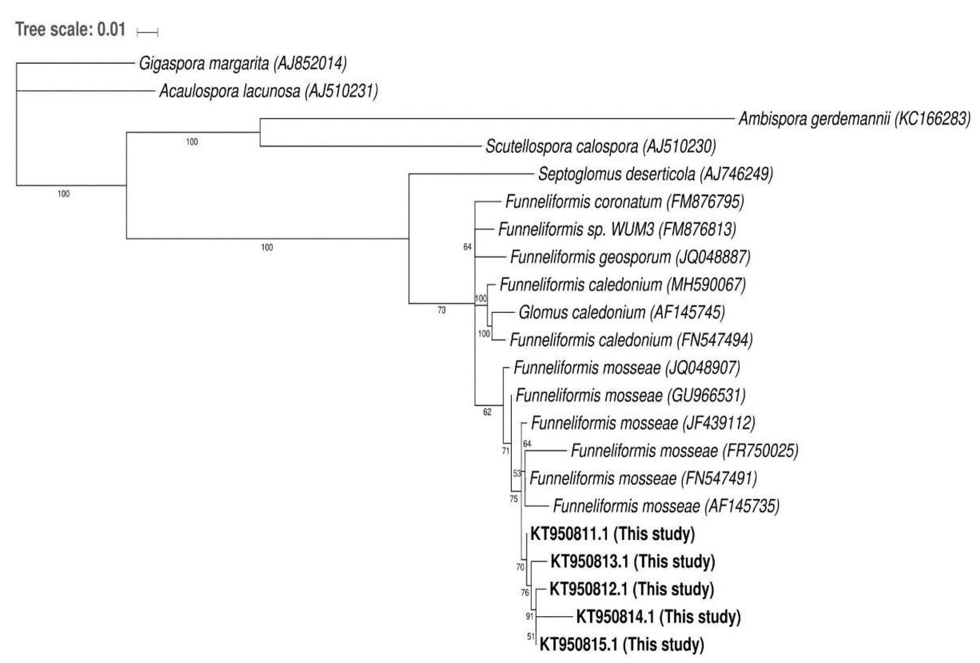 Plants 10 01803 g004 Plants 10 01803 g004