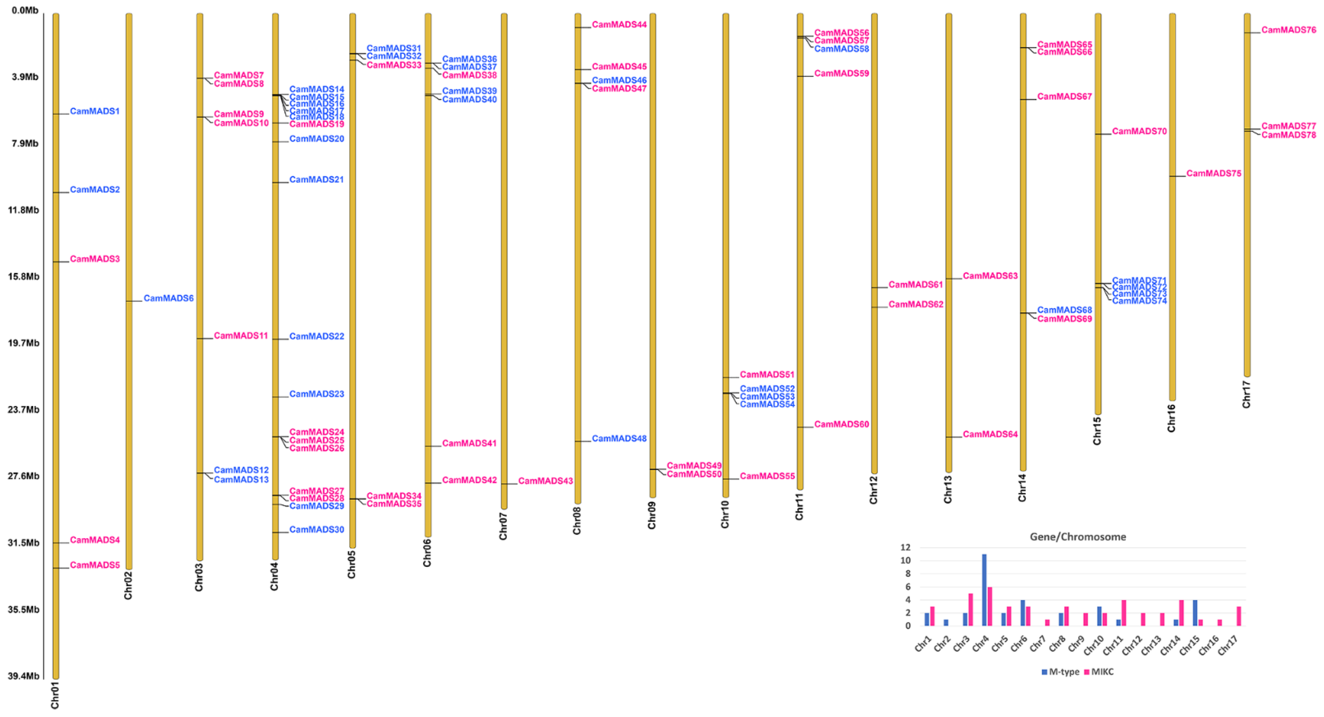 Plants 10 01805 g001