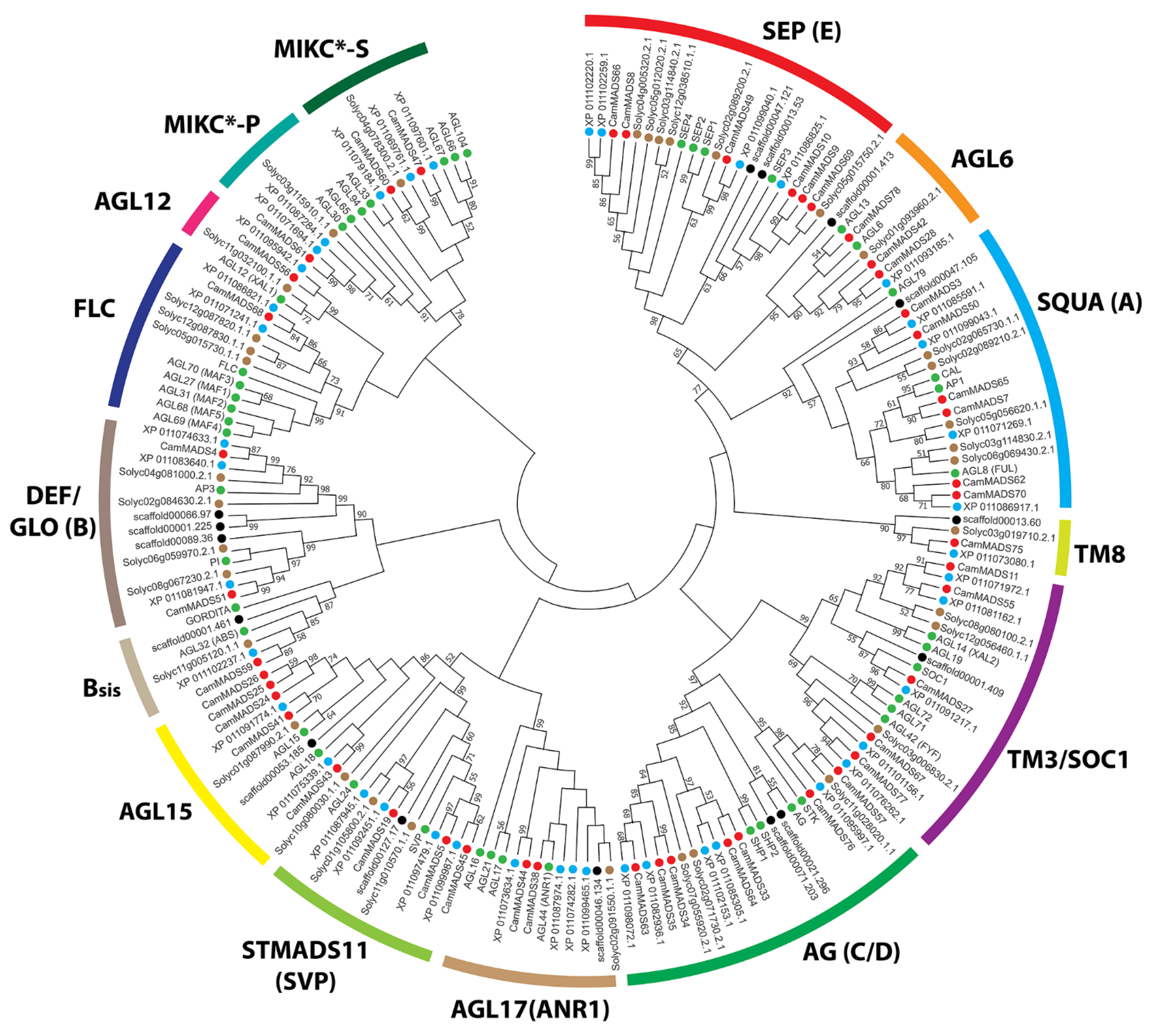 Plants 10 01805 g004