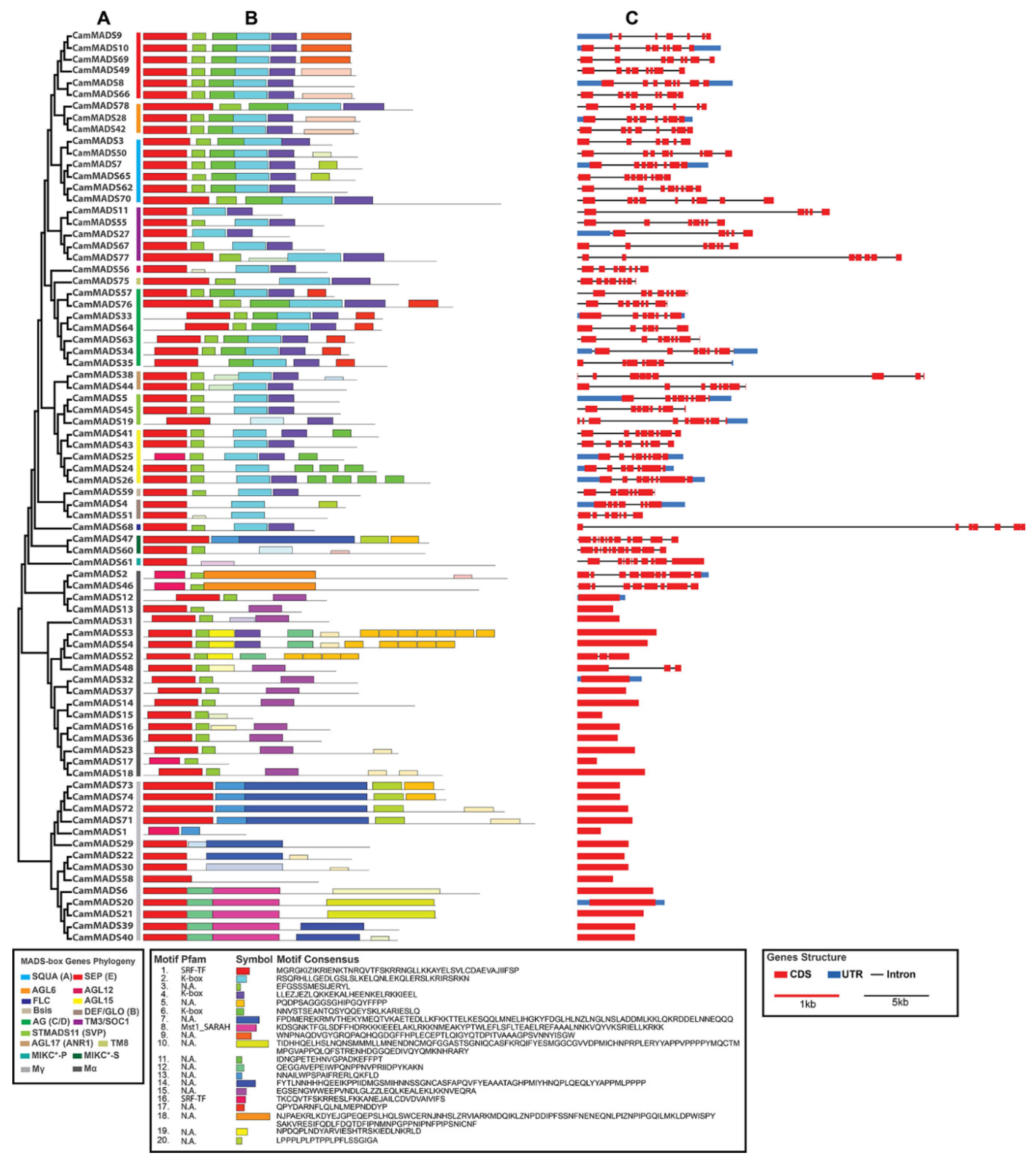 Plants 10 01805 g005