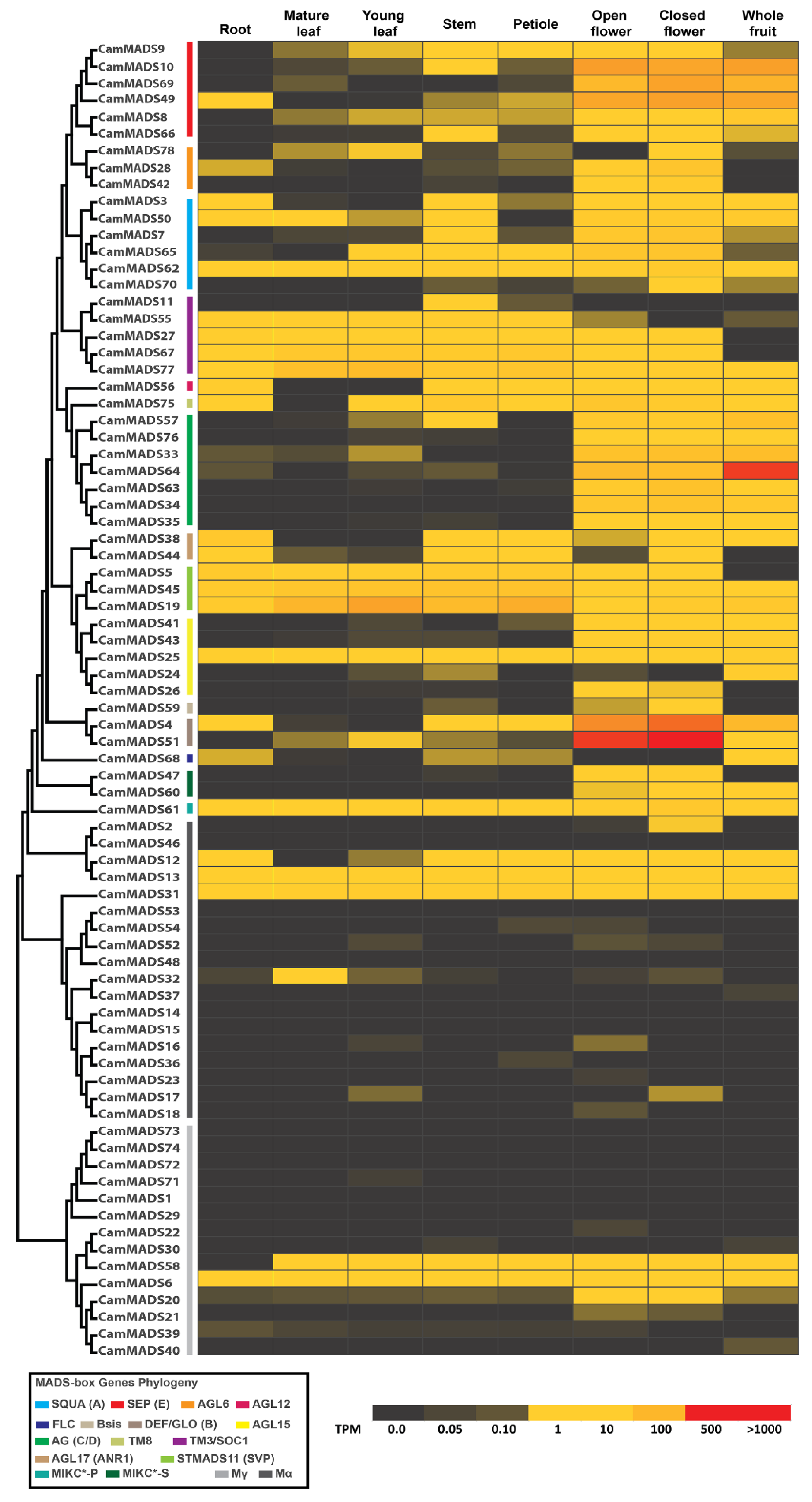 Plants 10 01805 g006