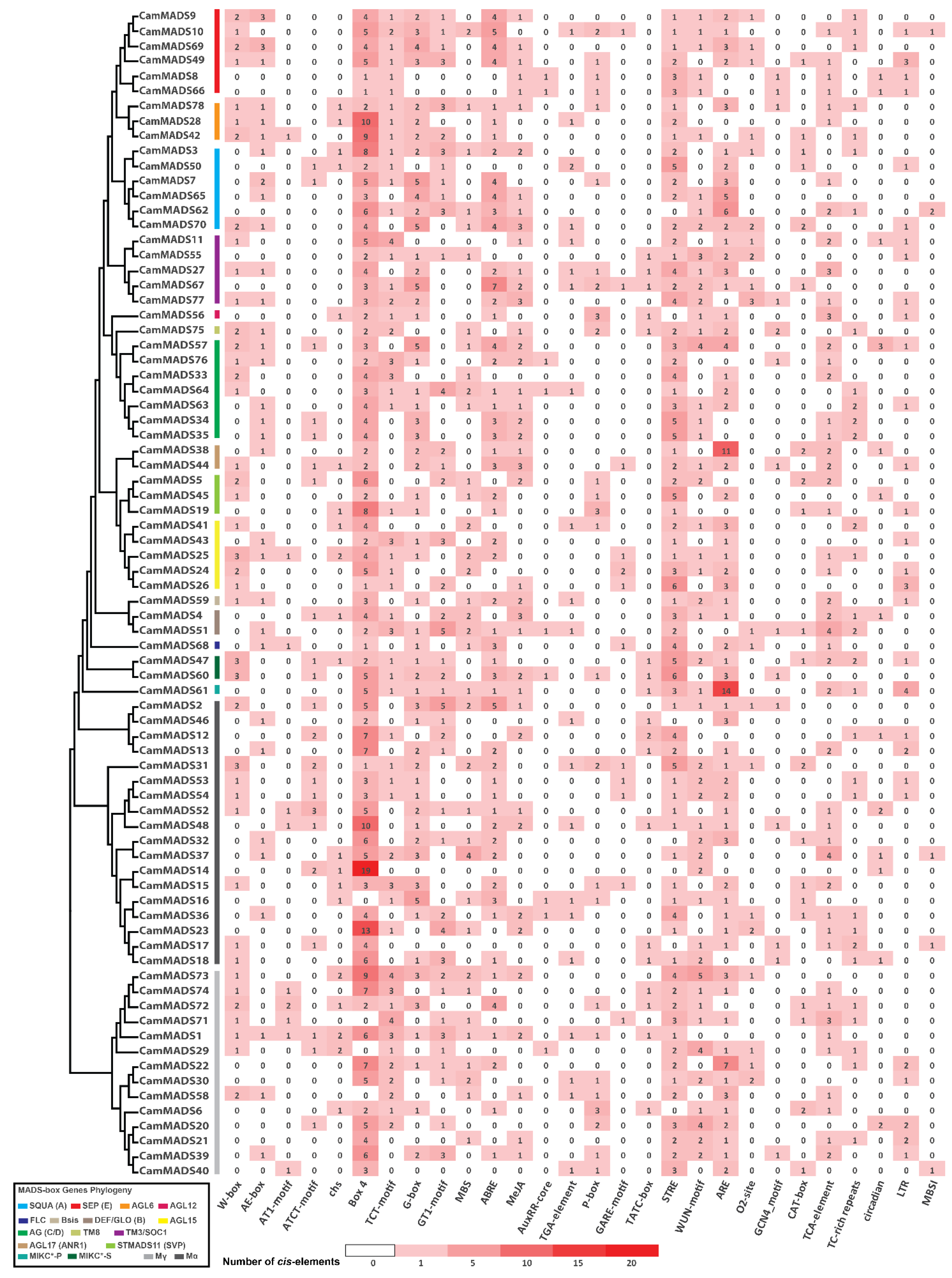 Plants 10 01805 g007